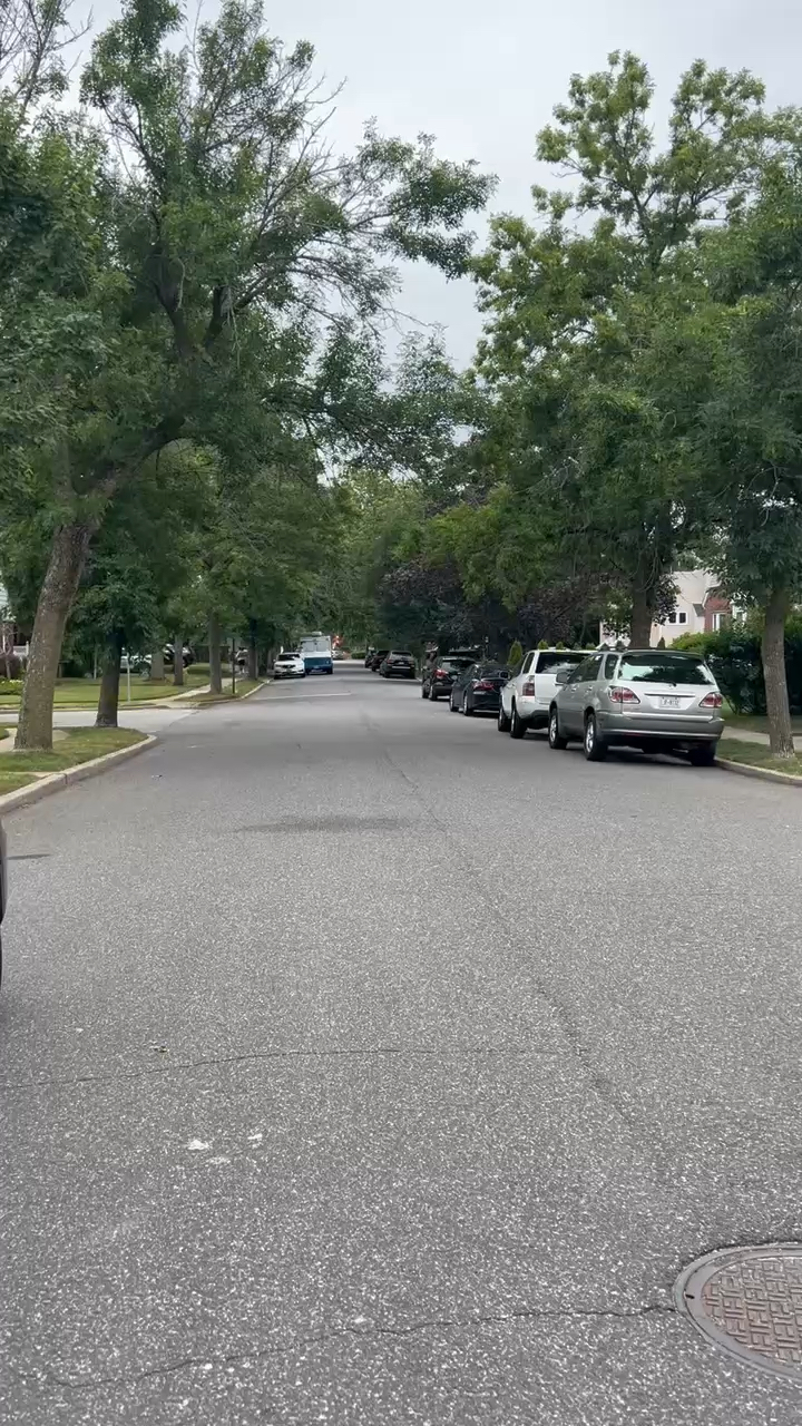 纽约街头卖冰激凌的车,也是响着音乐的,远远的就听见了