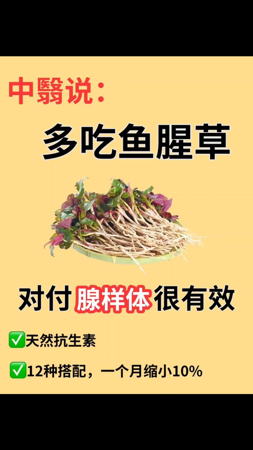 鱼腥草,天然的抗生素,对腺样体妙处,后悔现在才知道,建议收藏