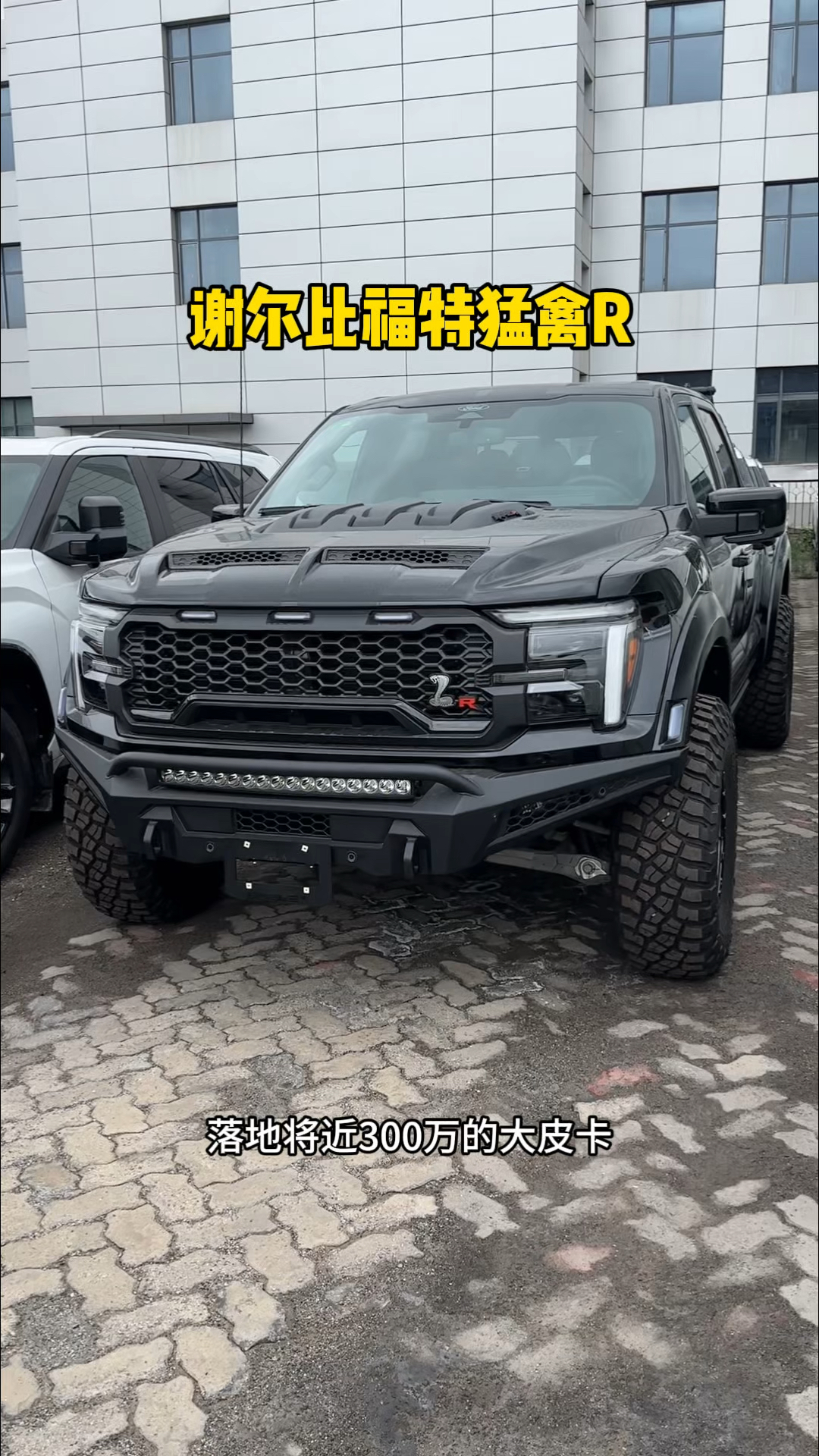 落地近300万的皮卡25款谢尔比福特猛禽R