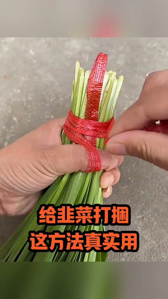 给韭菜打捆,这方法真实用!