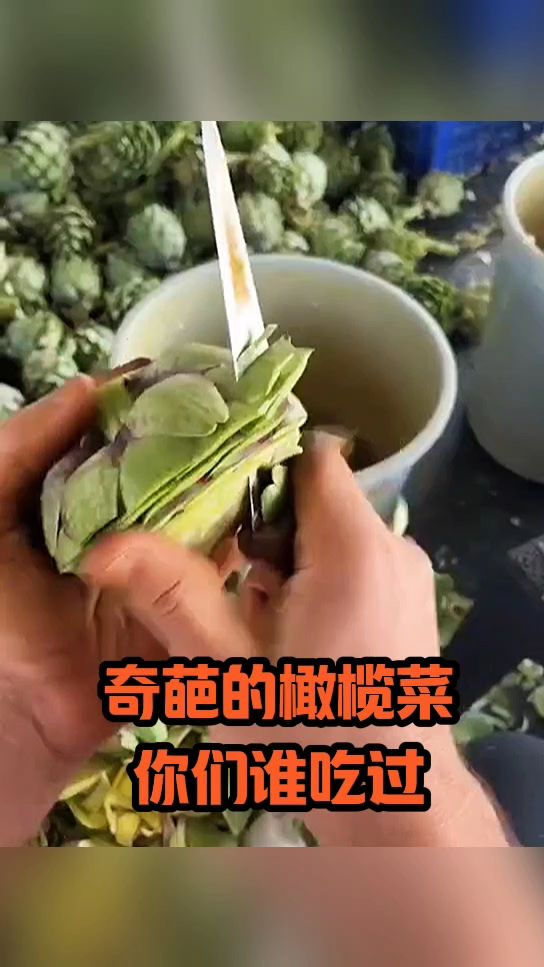 奇葩的橄榄菜,你们谁见过?