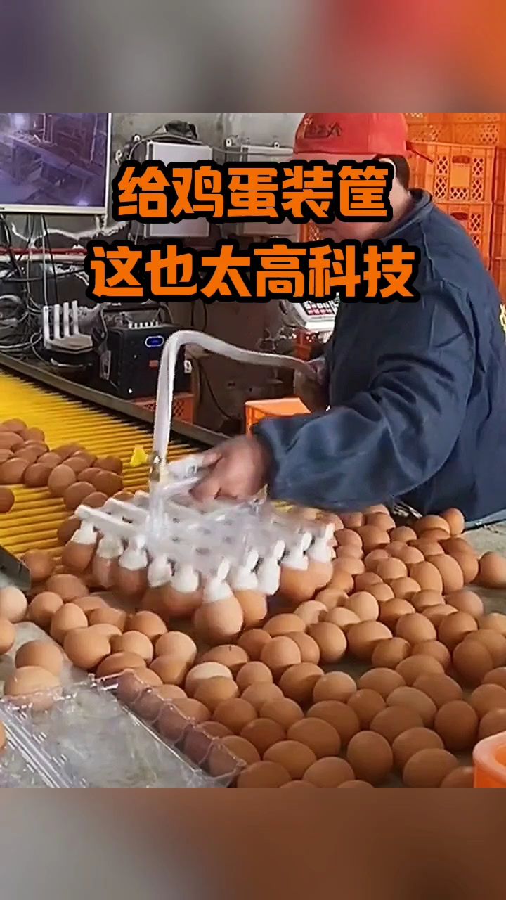 给鸡蛋装筐,这也太高科技了!