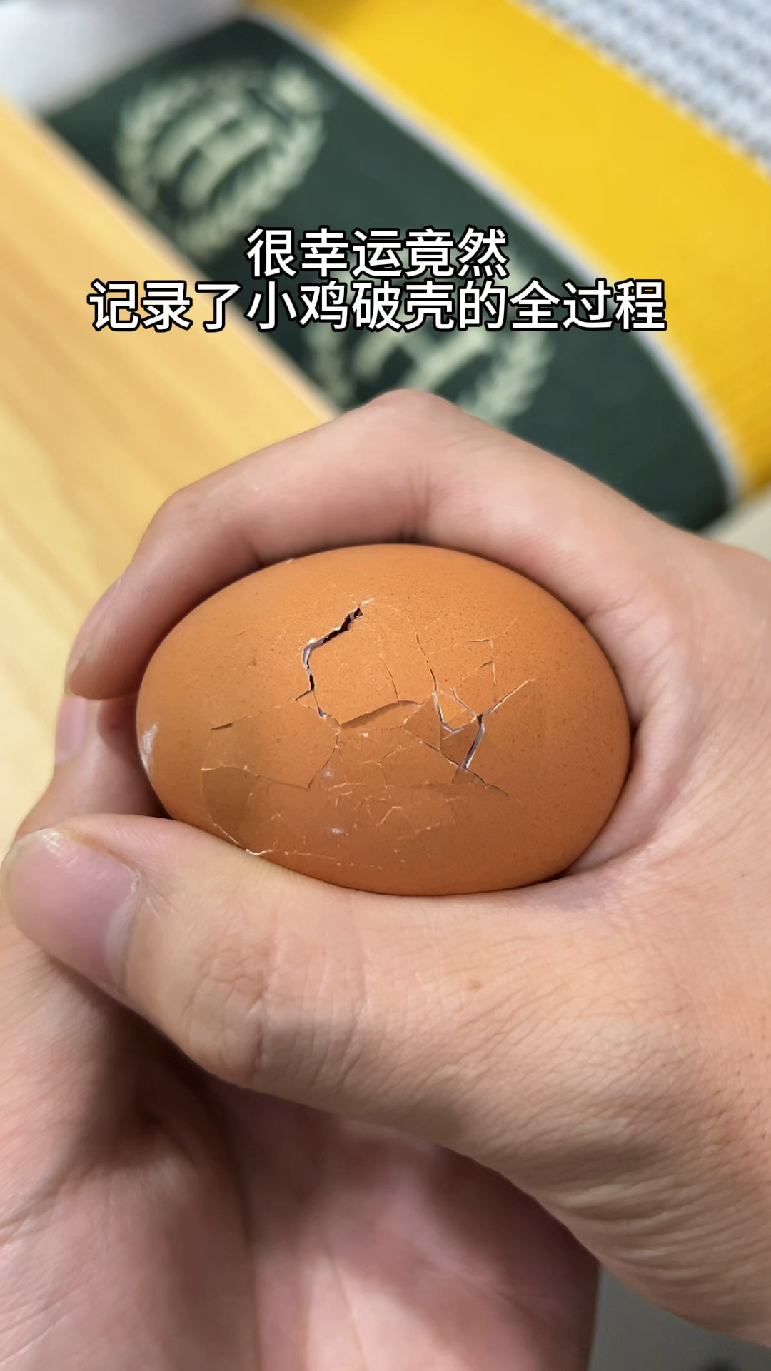 很幸运竟然记录了鸡蛋壳破碎的全过程