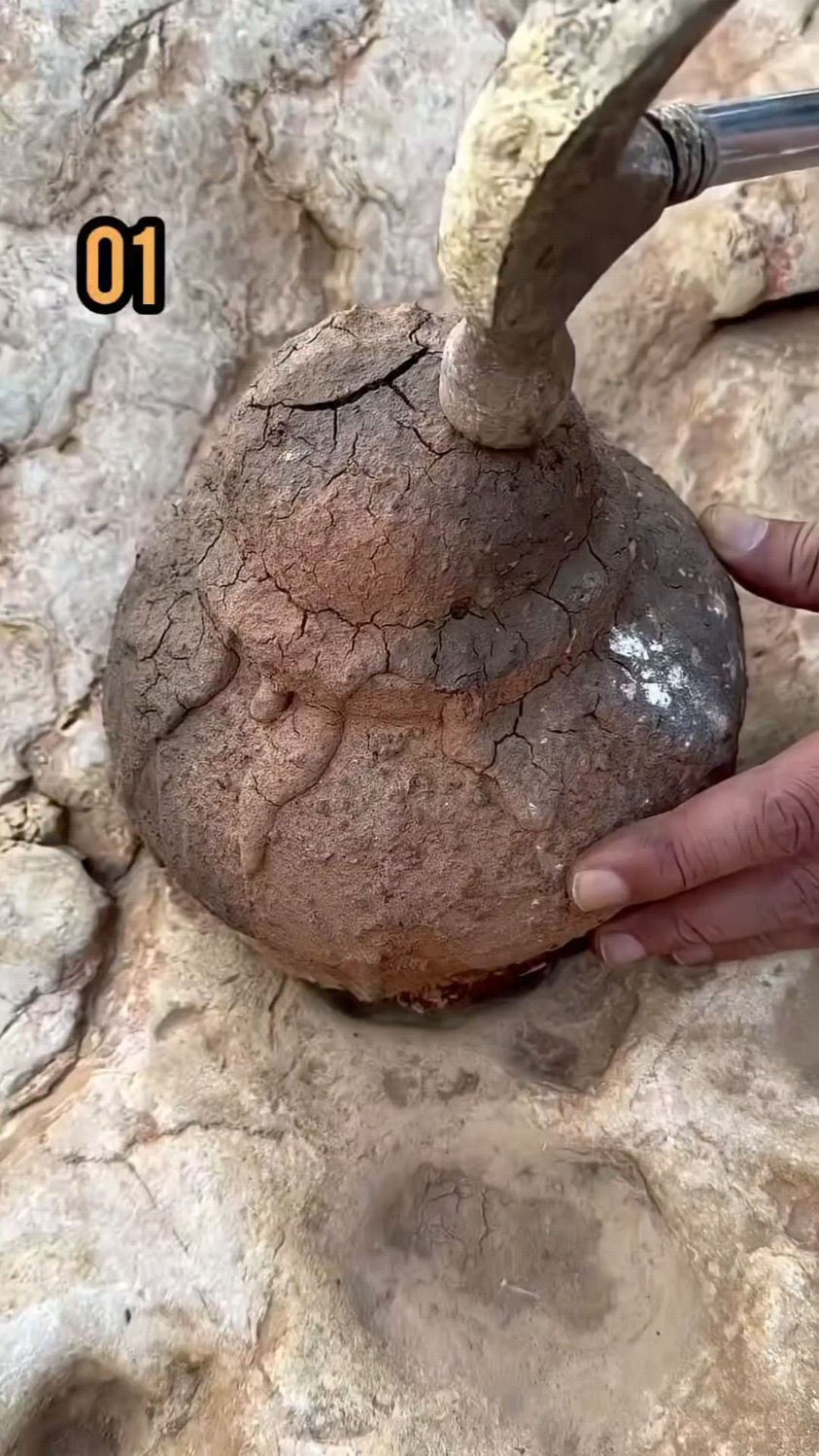 大石头下面发现3个罐子，每一个罐子里面都倒出来，许多好东西