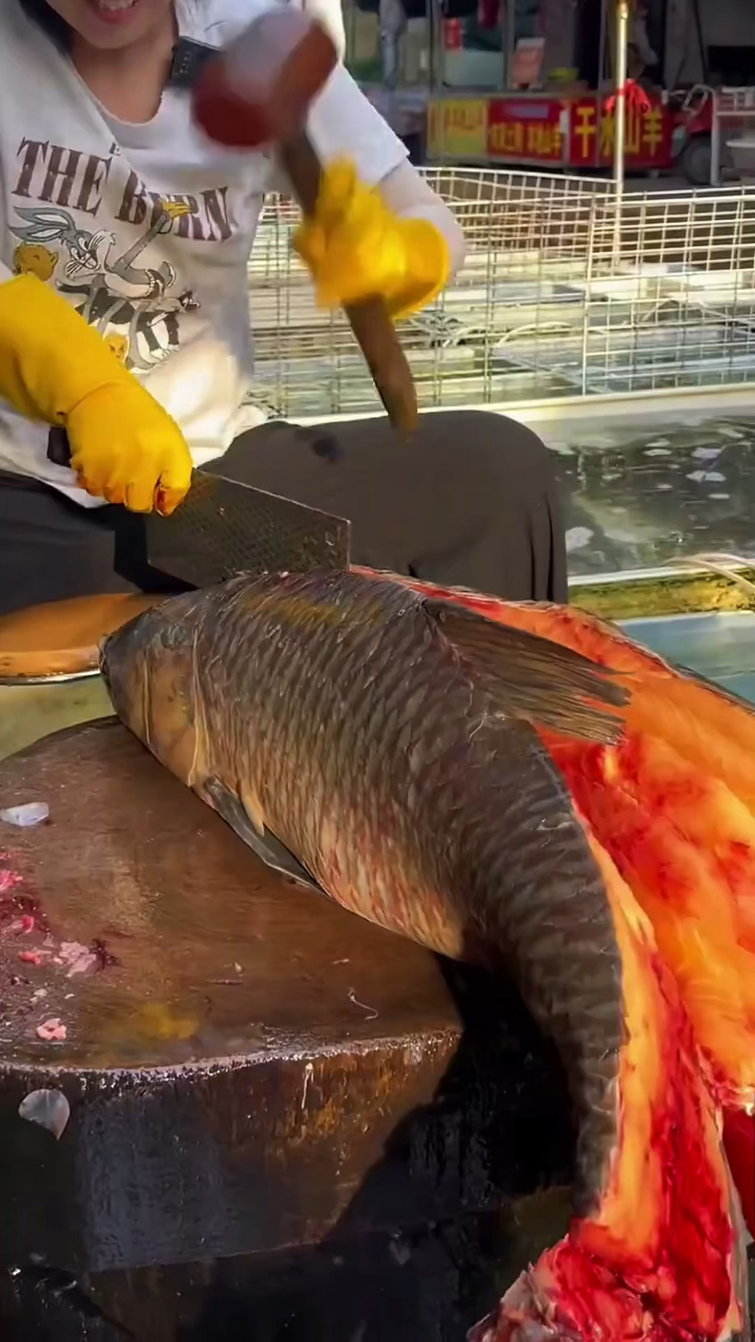 利用鱼骨制作的工艺品