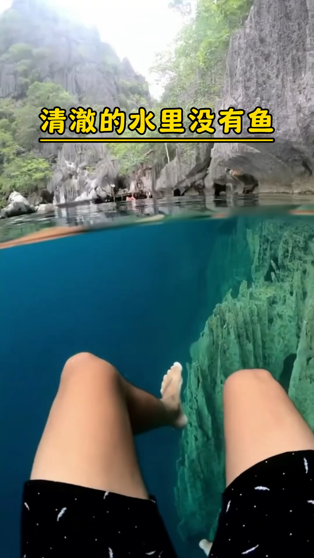 为什么清澈的水里反而没有鱼