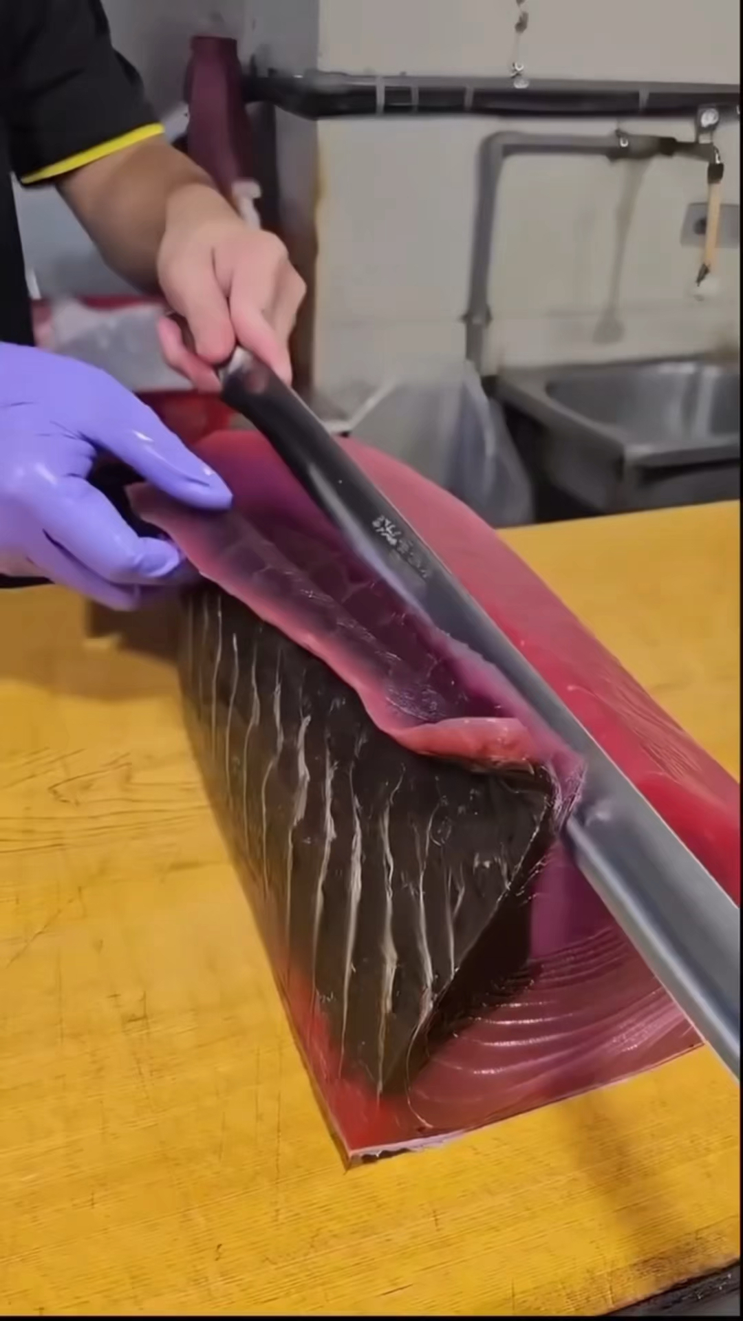 为什么新鲜的金枪鱼肉是黑色的