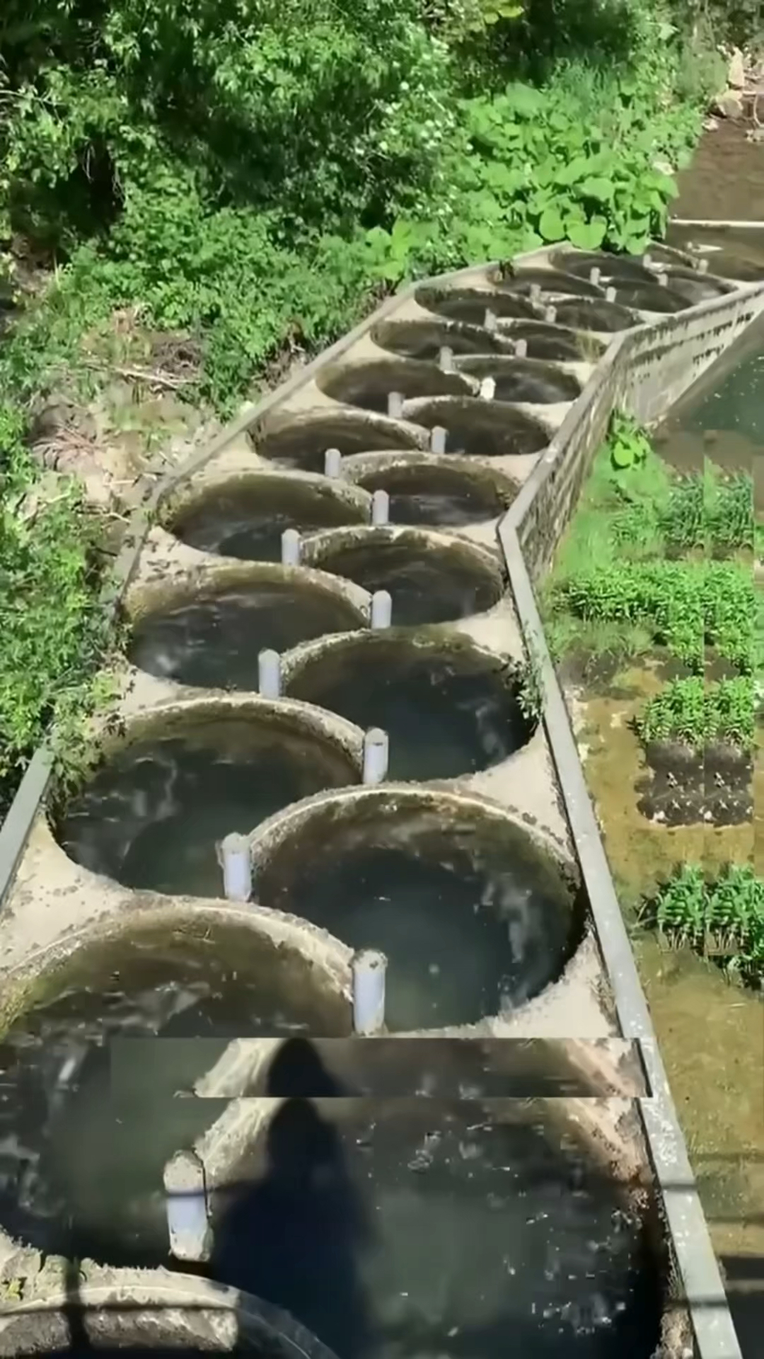 为什么这些水道是蜿蜒的