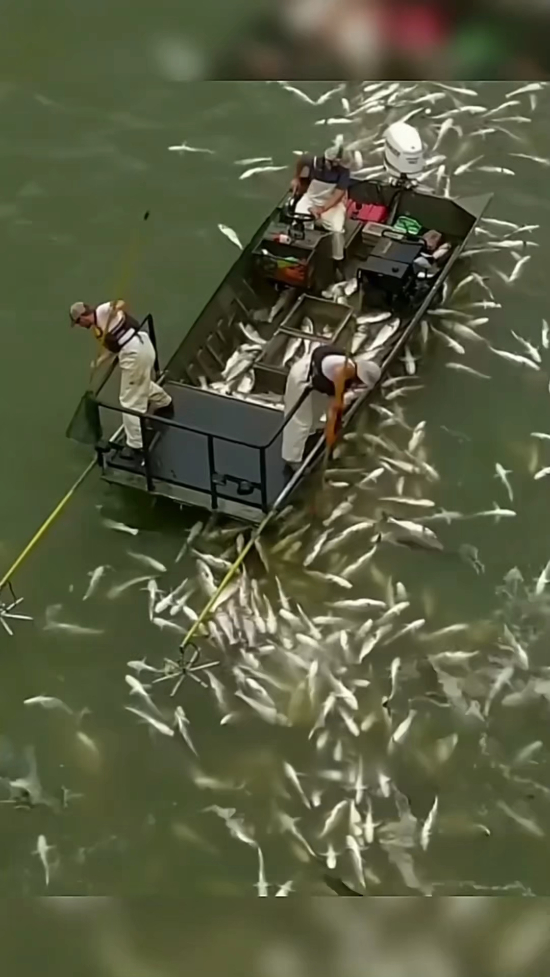 电击捕鱼的工作原理