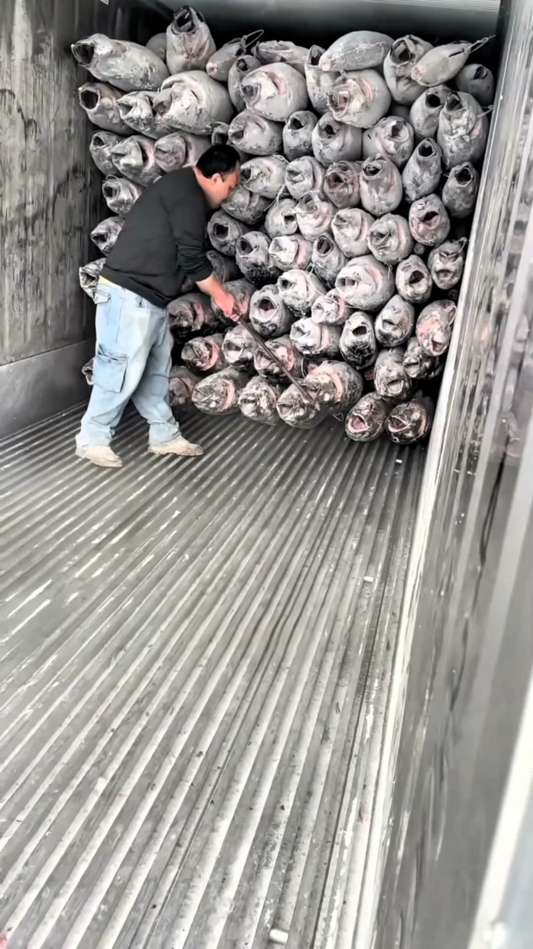 如何制作金枪鱼刺身