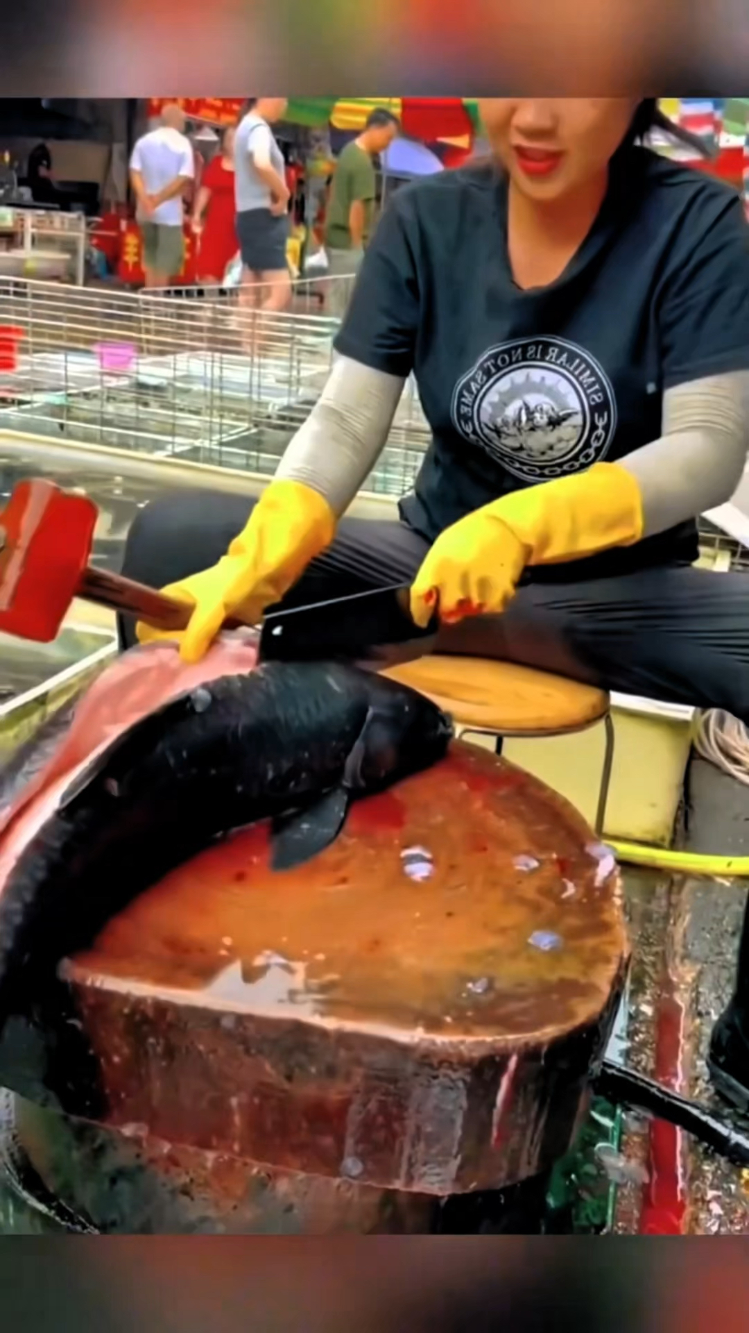 鱼体内最漂亮的鱼骨