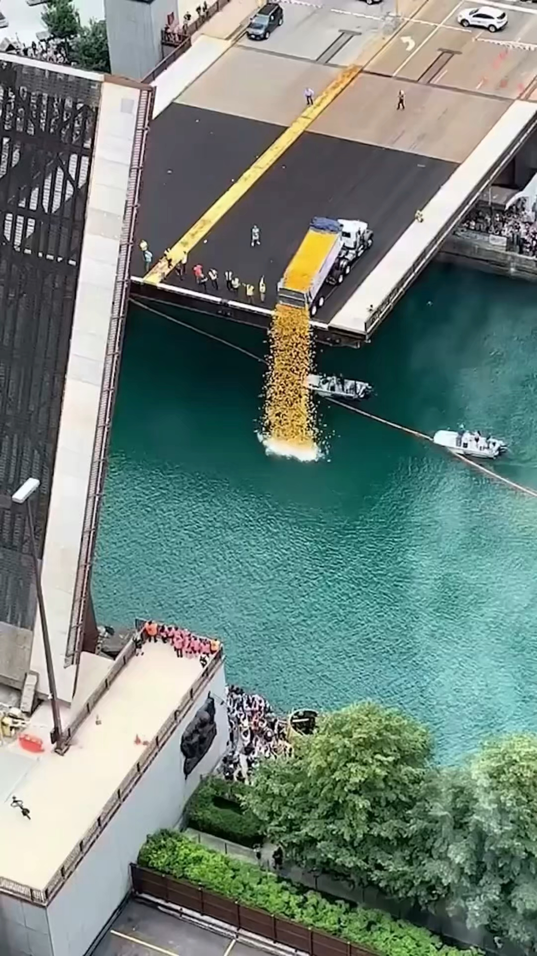 芝加哥的橡皮鸭活动