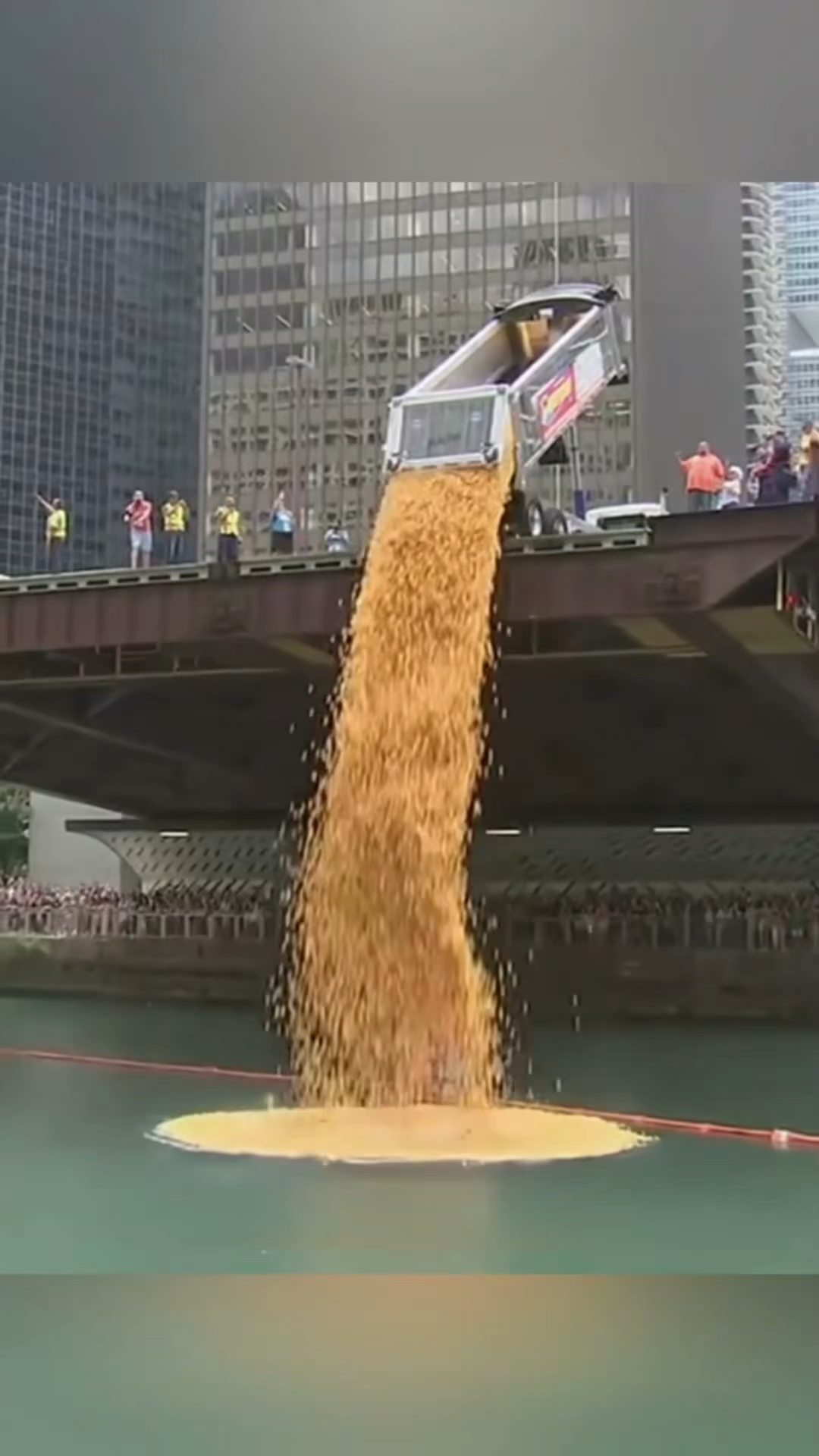 芝加哥的橡皮鸭慈善活动