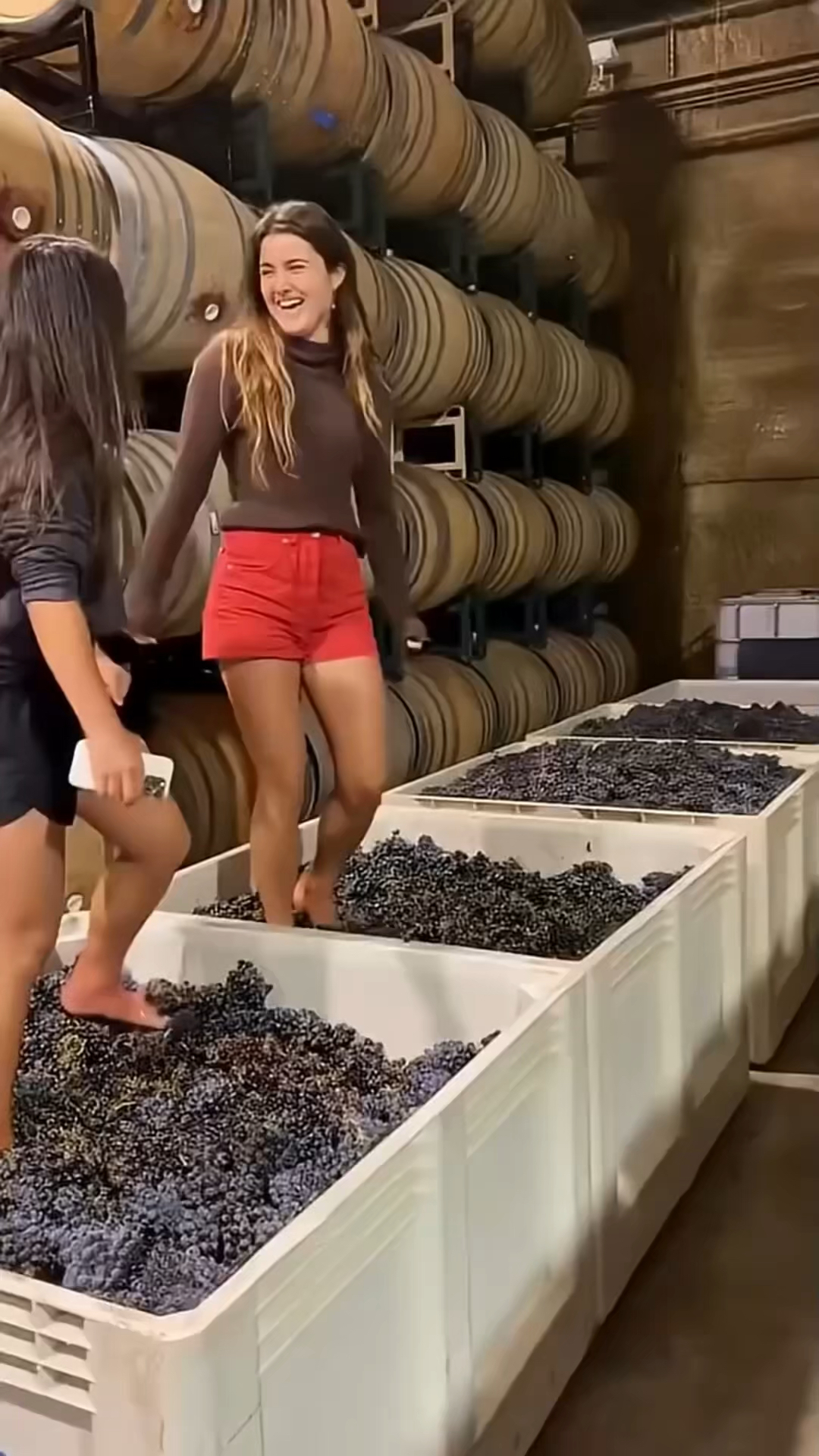 顶级葡萄酒为什么要用脚踩