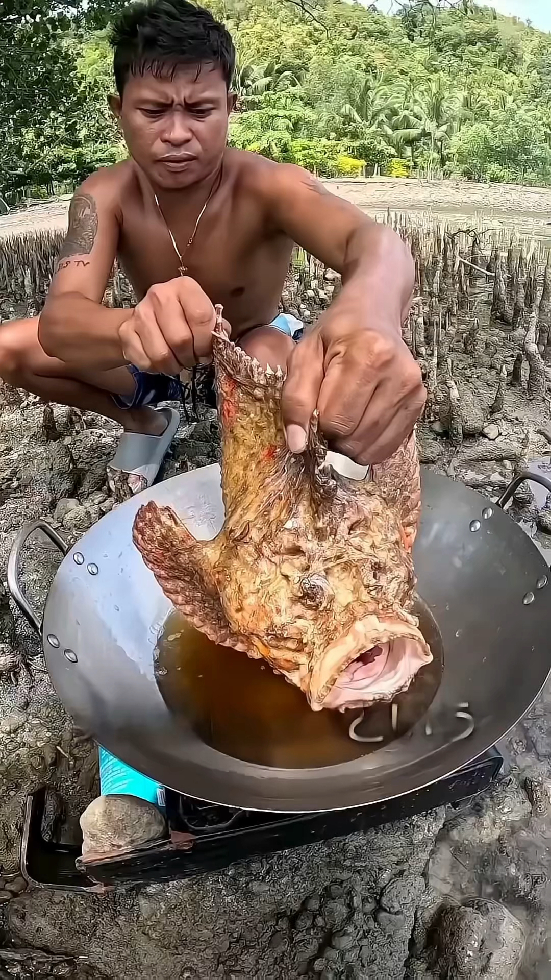 世界上最毒的石头鱼