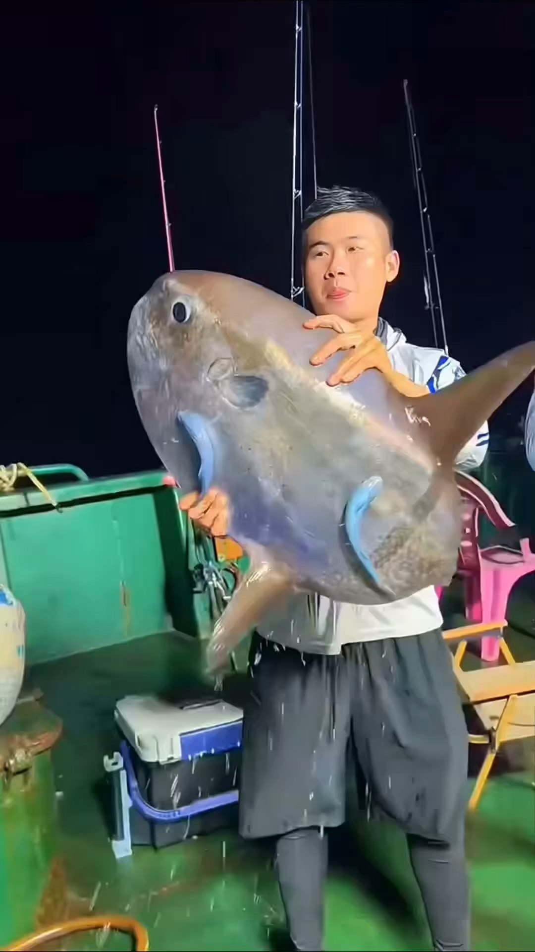 被称为海洋垃圾鱼的翻车鱼