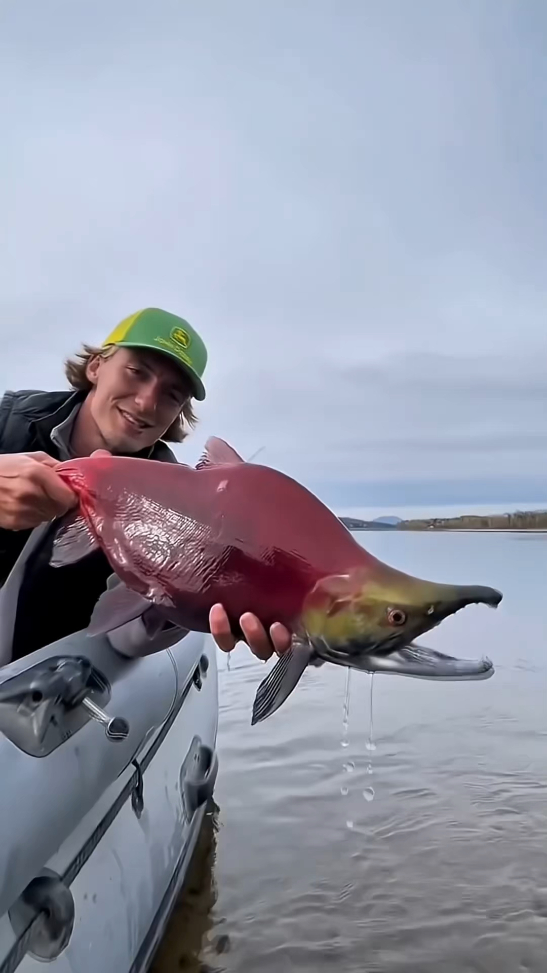 无法通过人工养殖的红鲑鱼