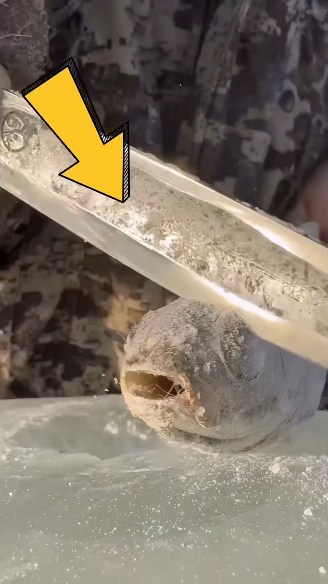 为什么这些人不吃新鲜的鱼