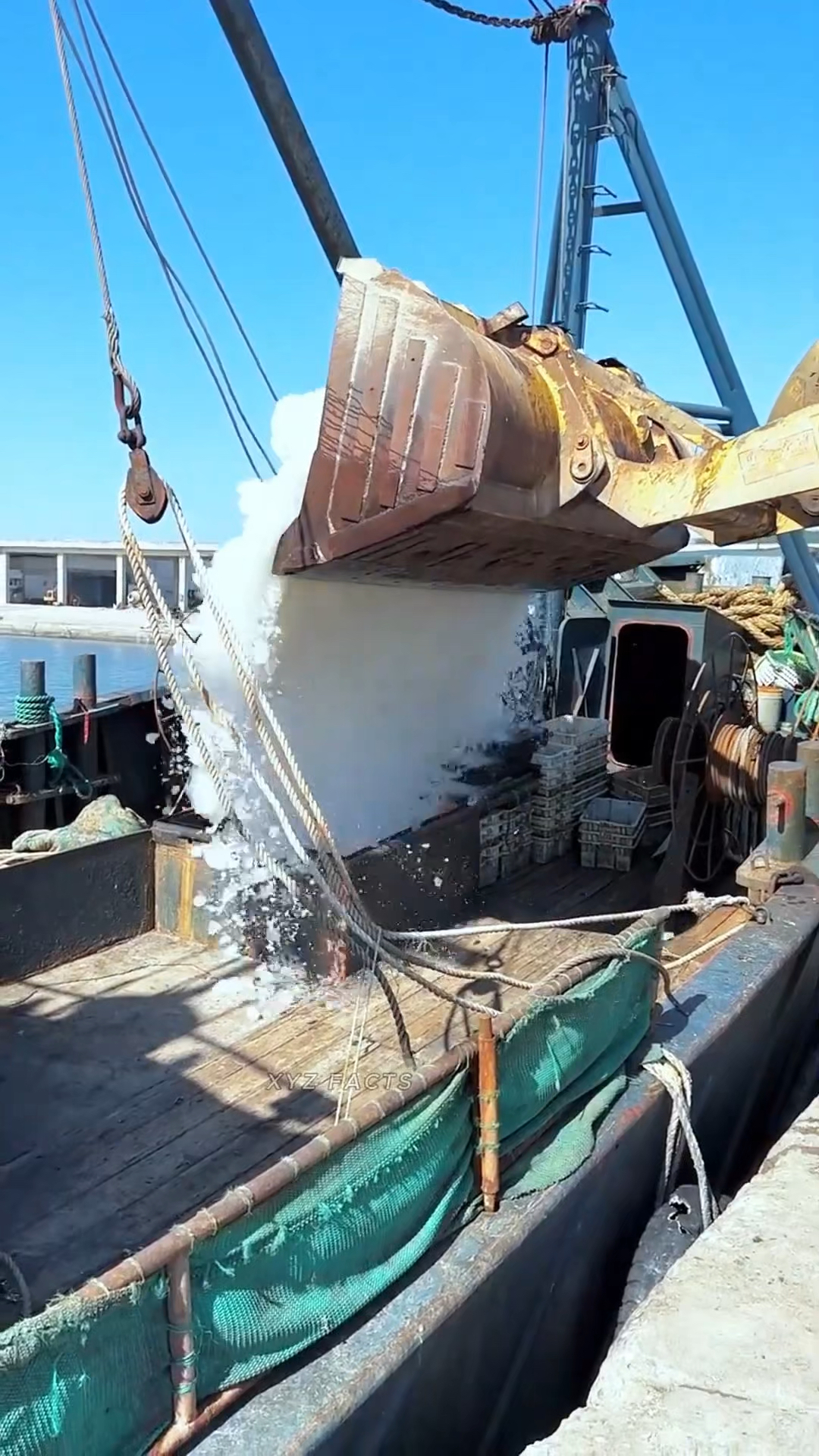 一种超赞的养鱼妙招