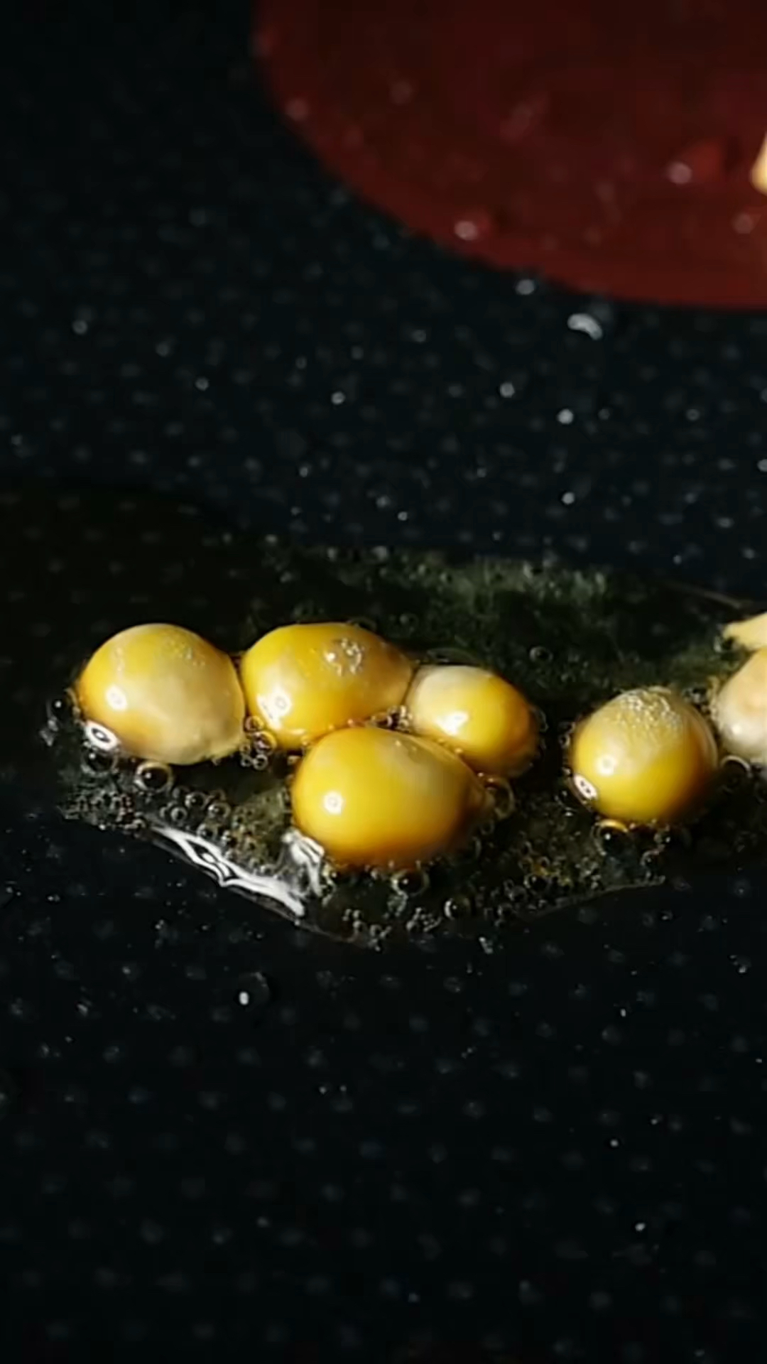 玉米怎么能变成爆米花的