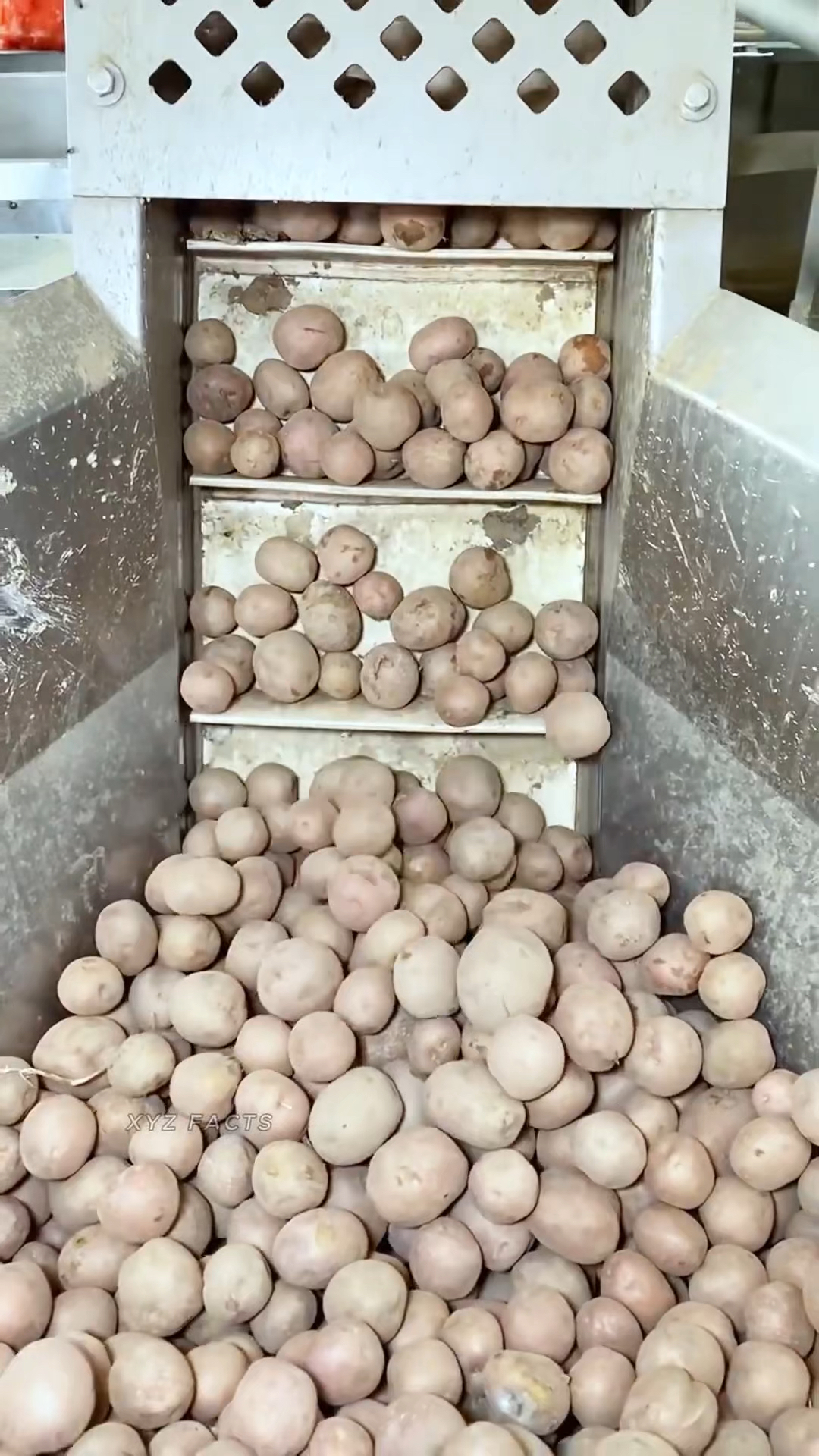 脆脆的薯片是如何制作的