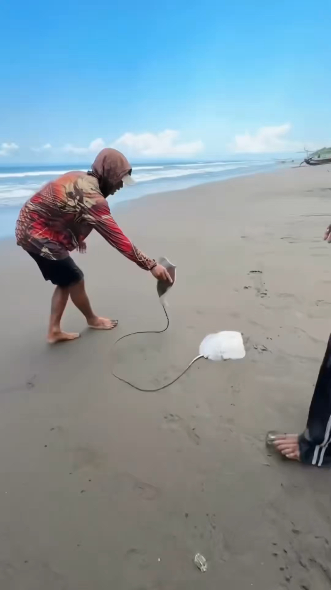 如何安全拔掉鳐鱼毒刺的