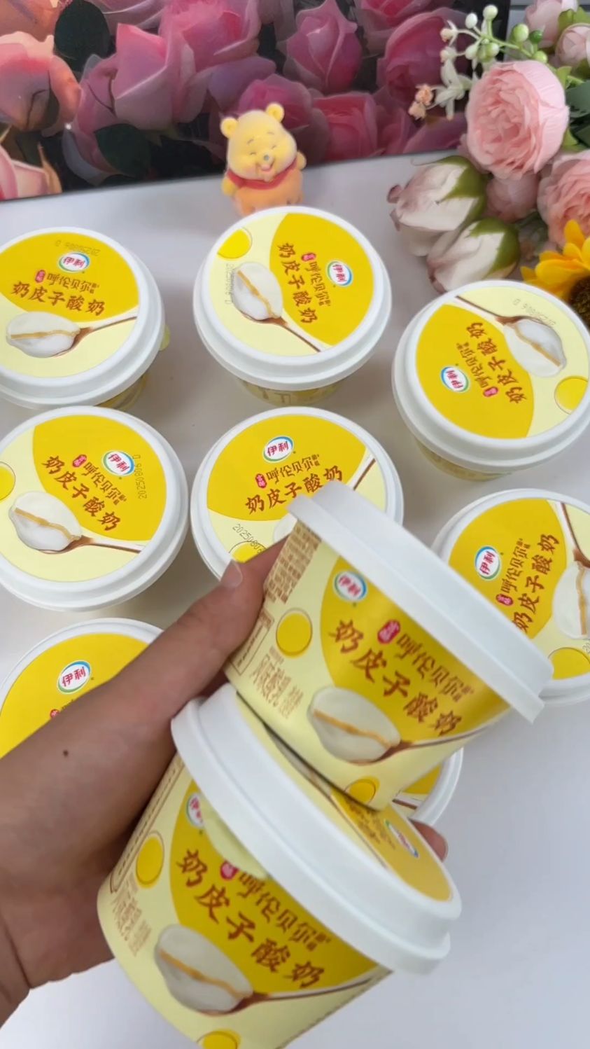 草原珍贵菌株发酵 伊利宫酪奶皮子酸奶138g*10杯 醇厚口感回味悠长