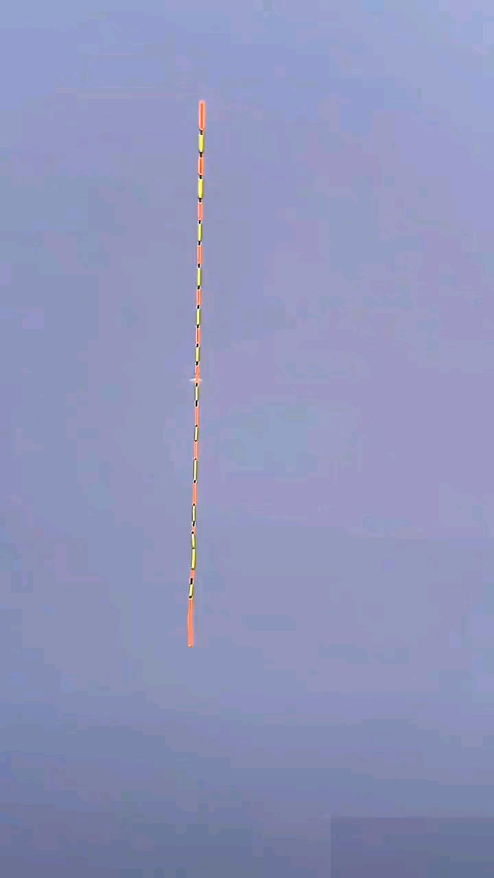 立秋后钓鲫鱼,学会这几点干货技巧,上鱼更轻松