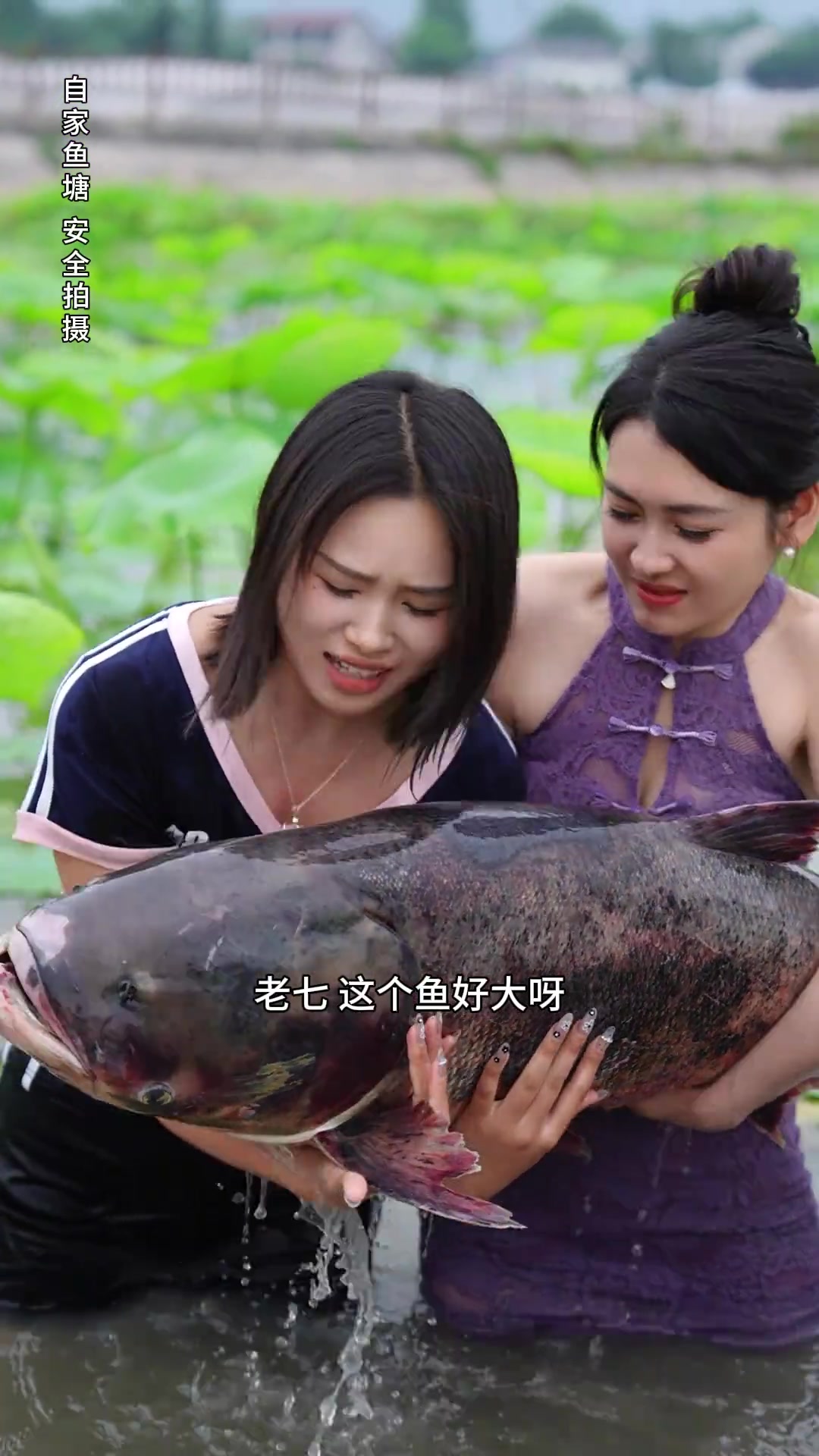 六十斤的大鱼做三个口味，你们喜欢吃鱼头还是鱼尾！