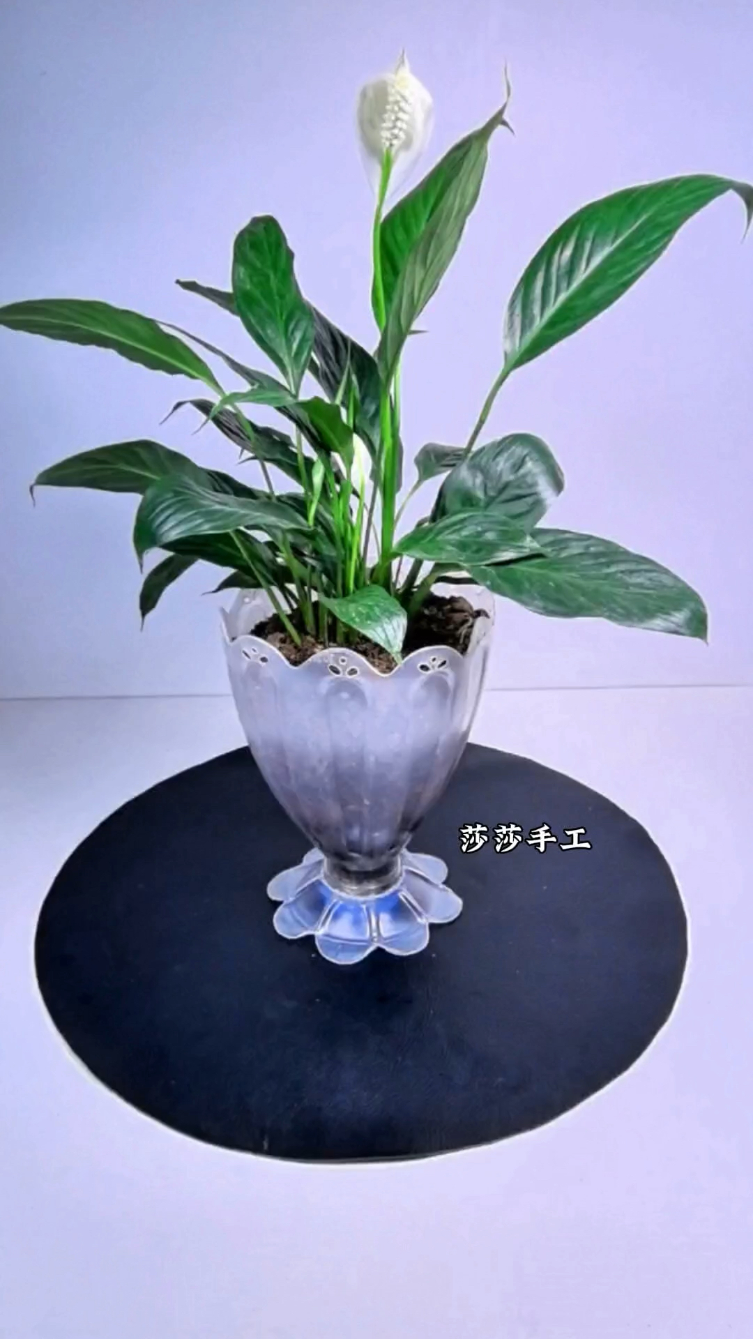 塑料瓶变废为宝做花盆#手工diy #手工制作 #自制花盆#手工花盆