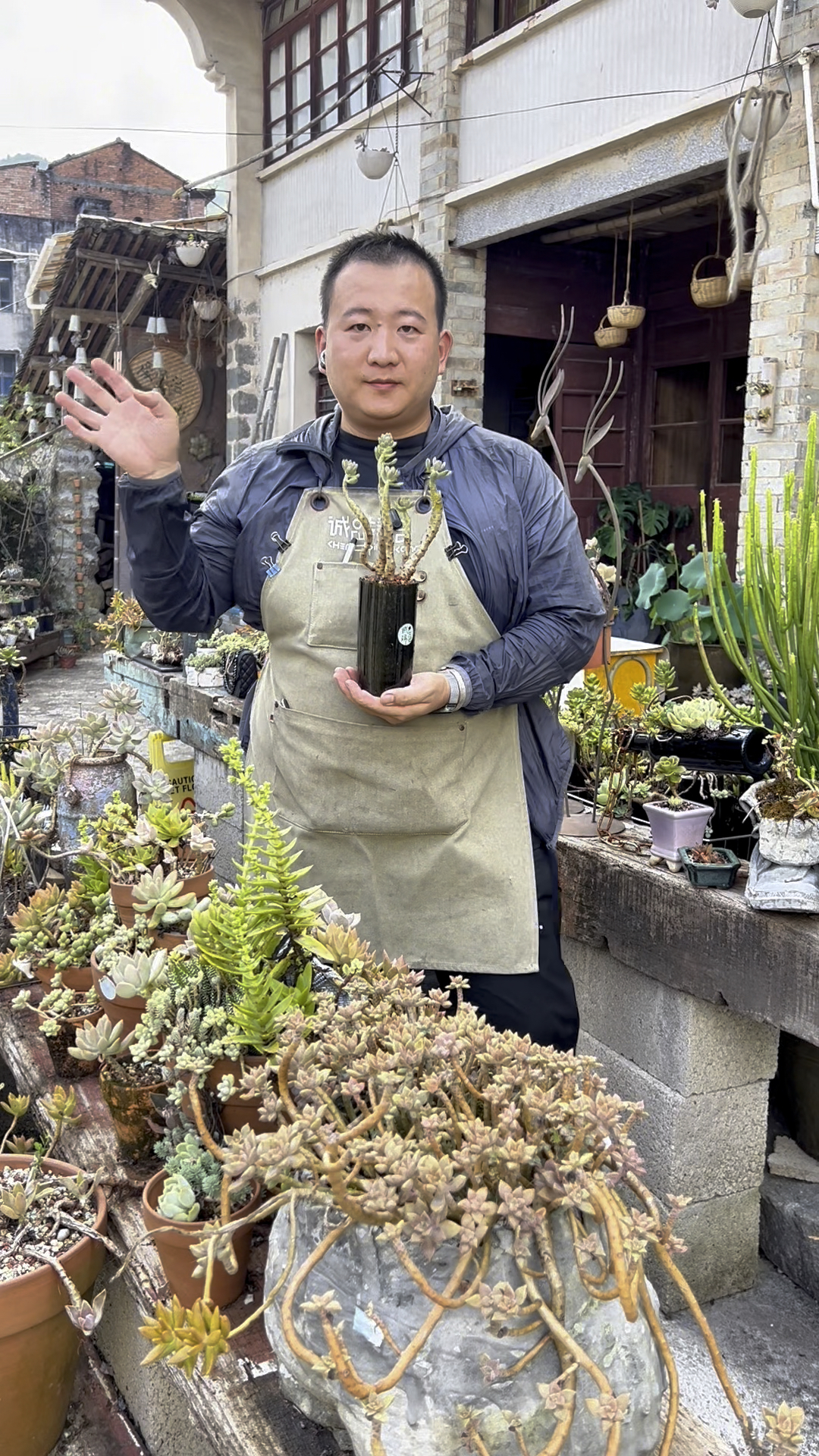 废瓶变身“晶莹绿舟”！用热胀冷缩DIY多肉玻璃盆栽