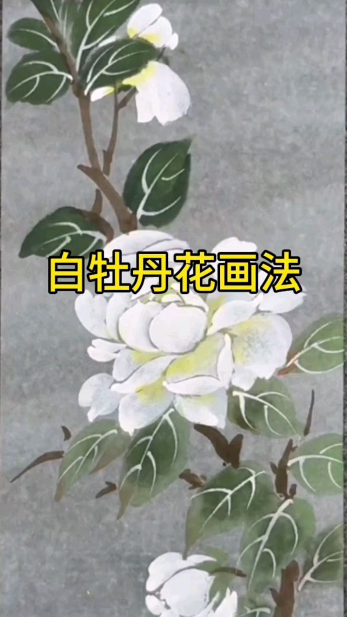 牡丹花怎么画好看?鸟语花香画牡丹花一看就懂国画