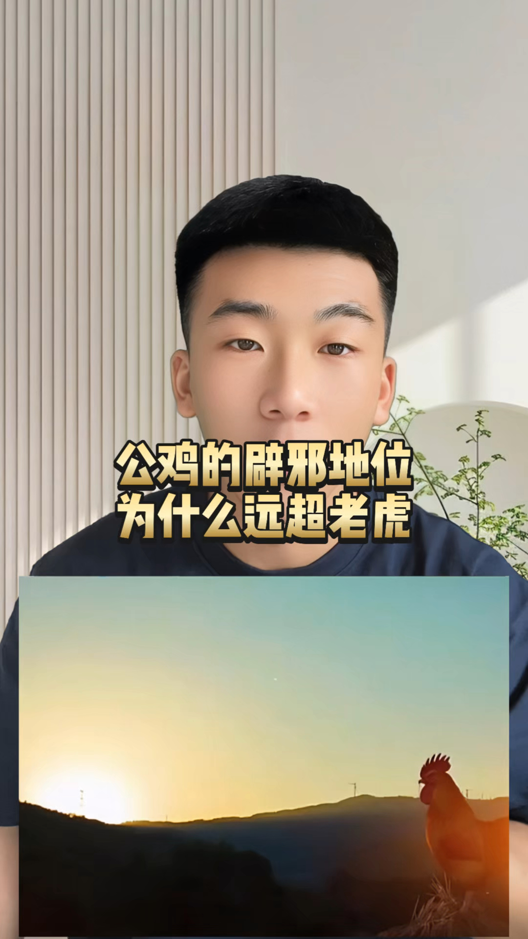 要是换成老虎还没等辟邪呢,人先没了! #纯阳之体 #公鸡