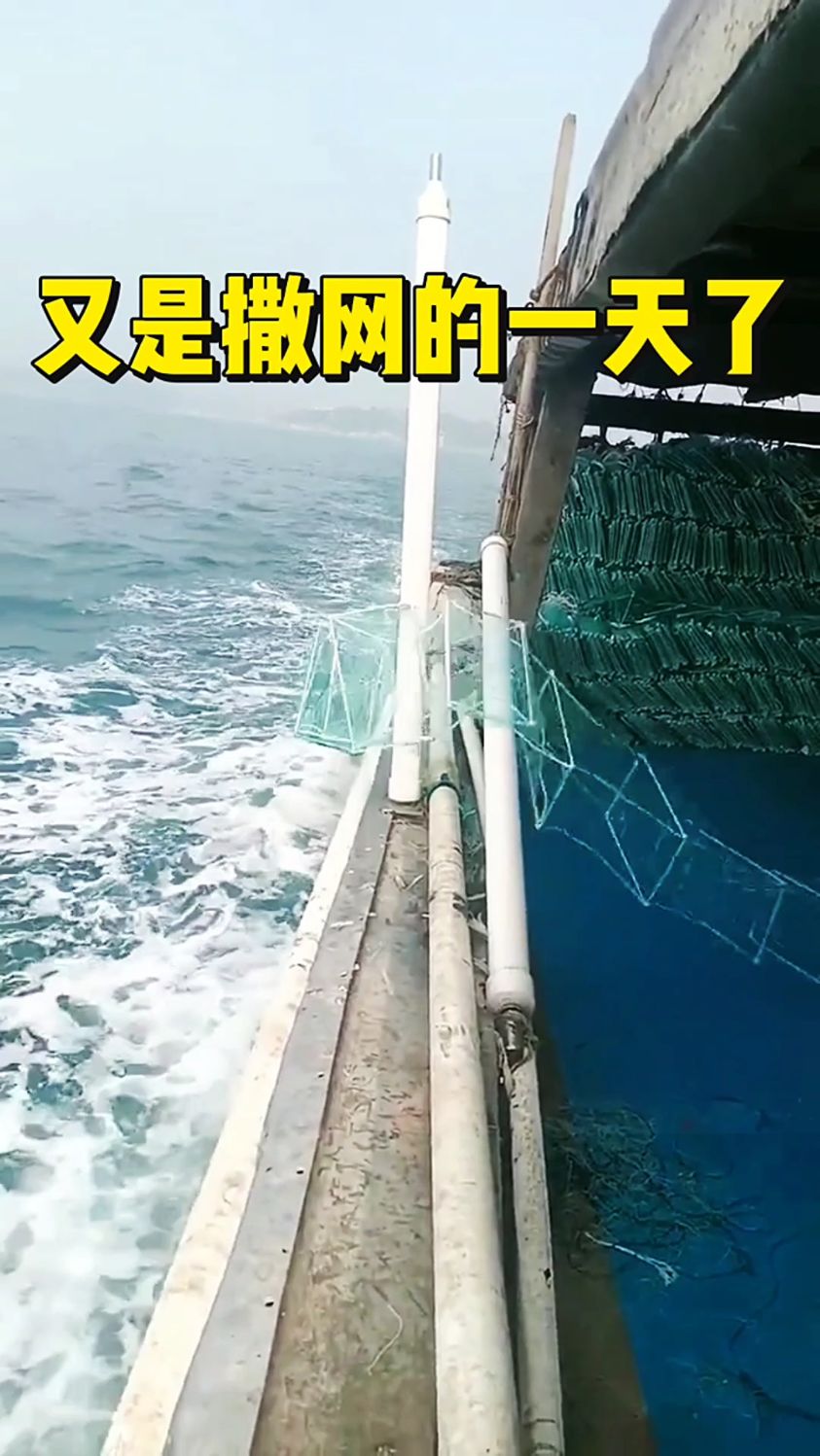 又是撒网的一天了