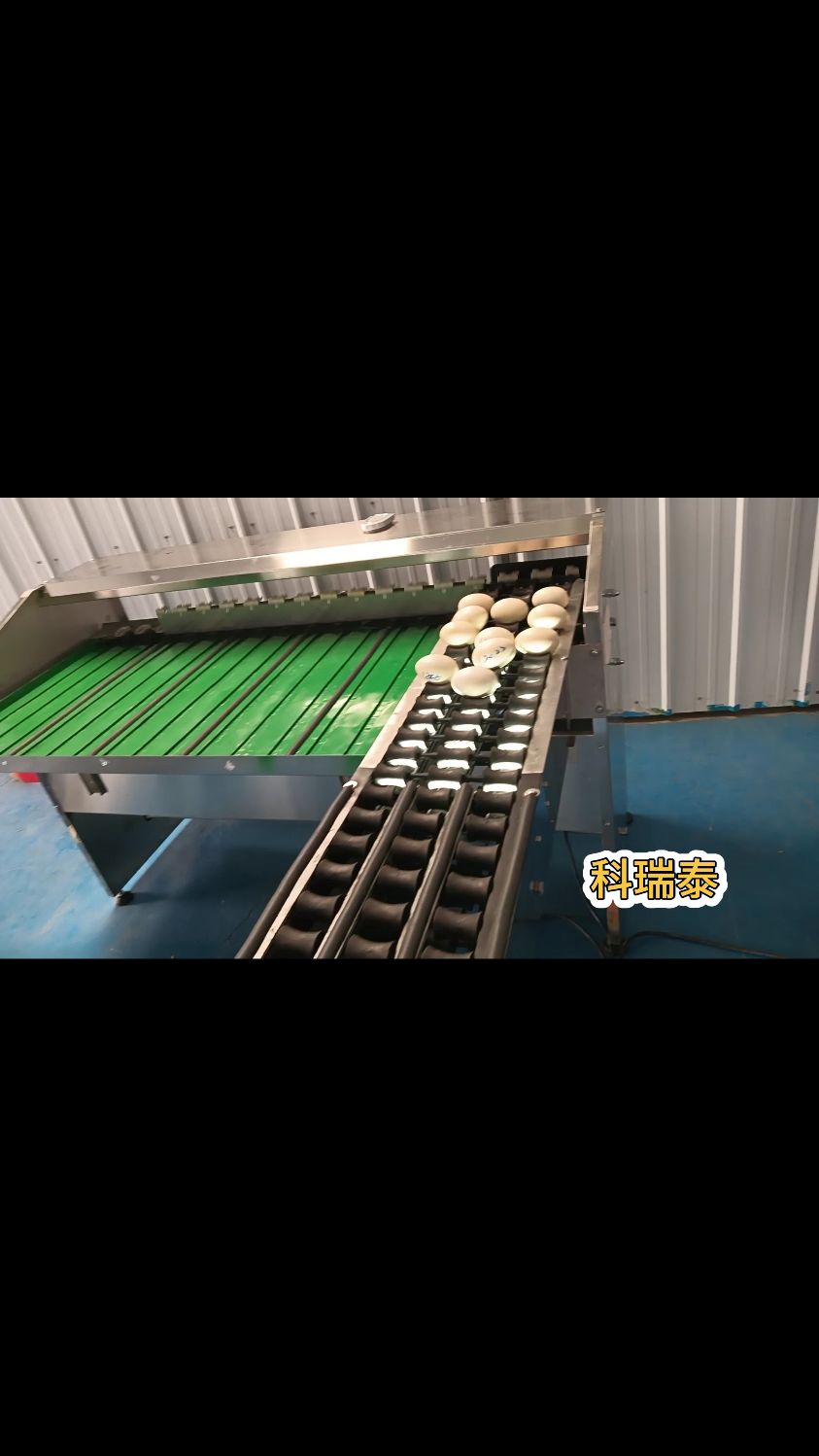 双黄鸭蛋光照分拣 鹅蛋分大小设备