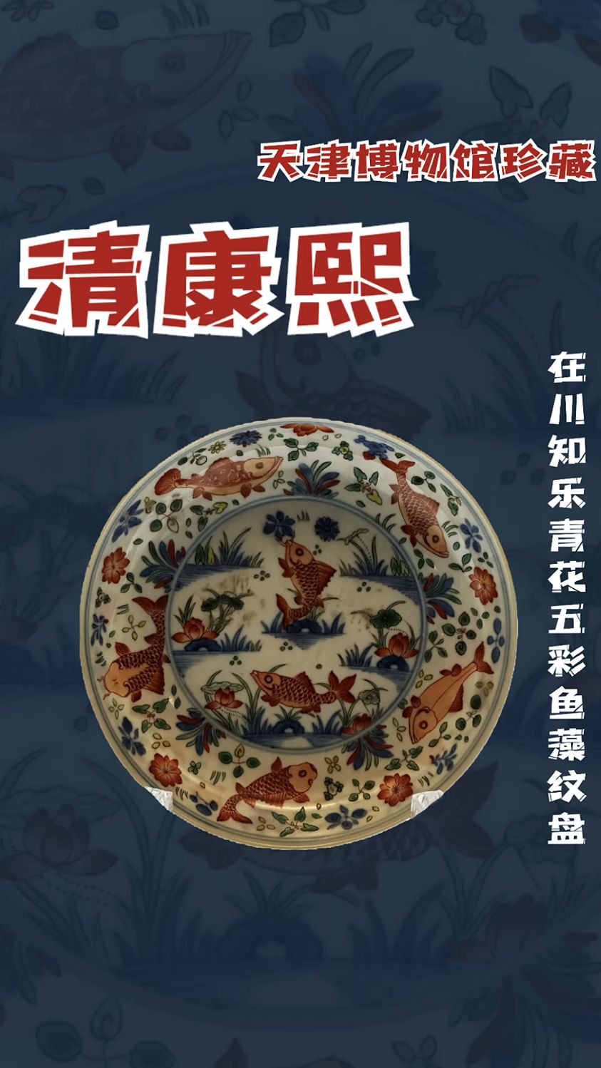 清康熙 在川知乐青花五彩鱼藻纹盘(天津博物馆藏)
