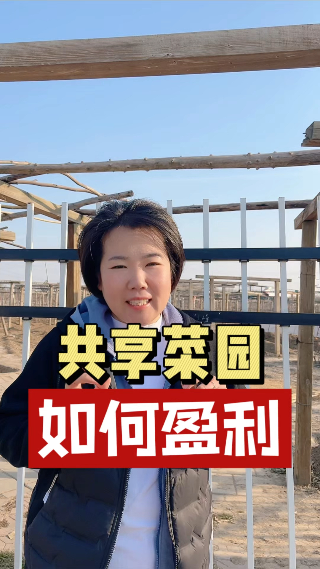 共享菜园如何操作,共享菜园如何盈利