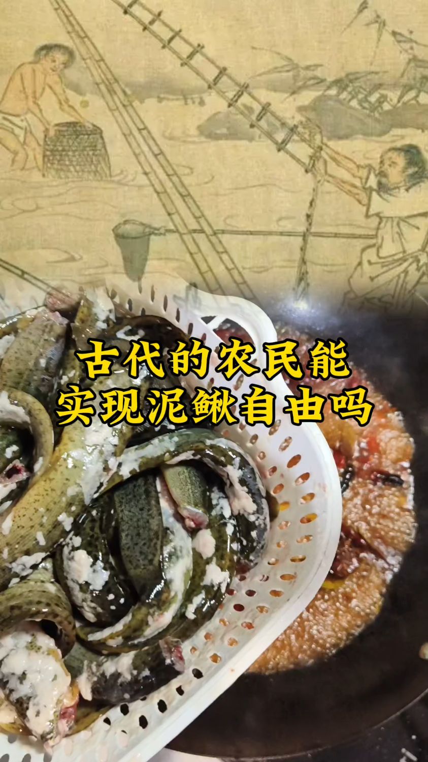 古代的农民,能够实现泥鳅自由吗?