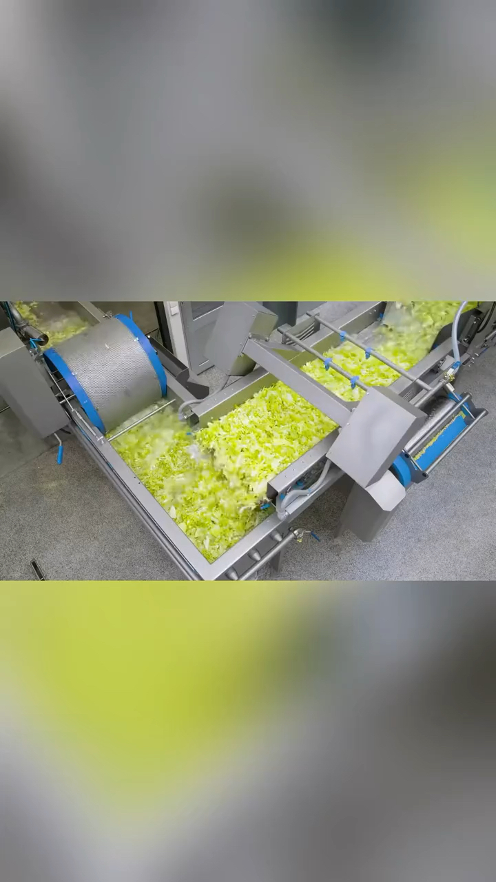 中央厨房净菜流水线