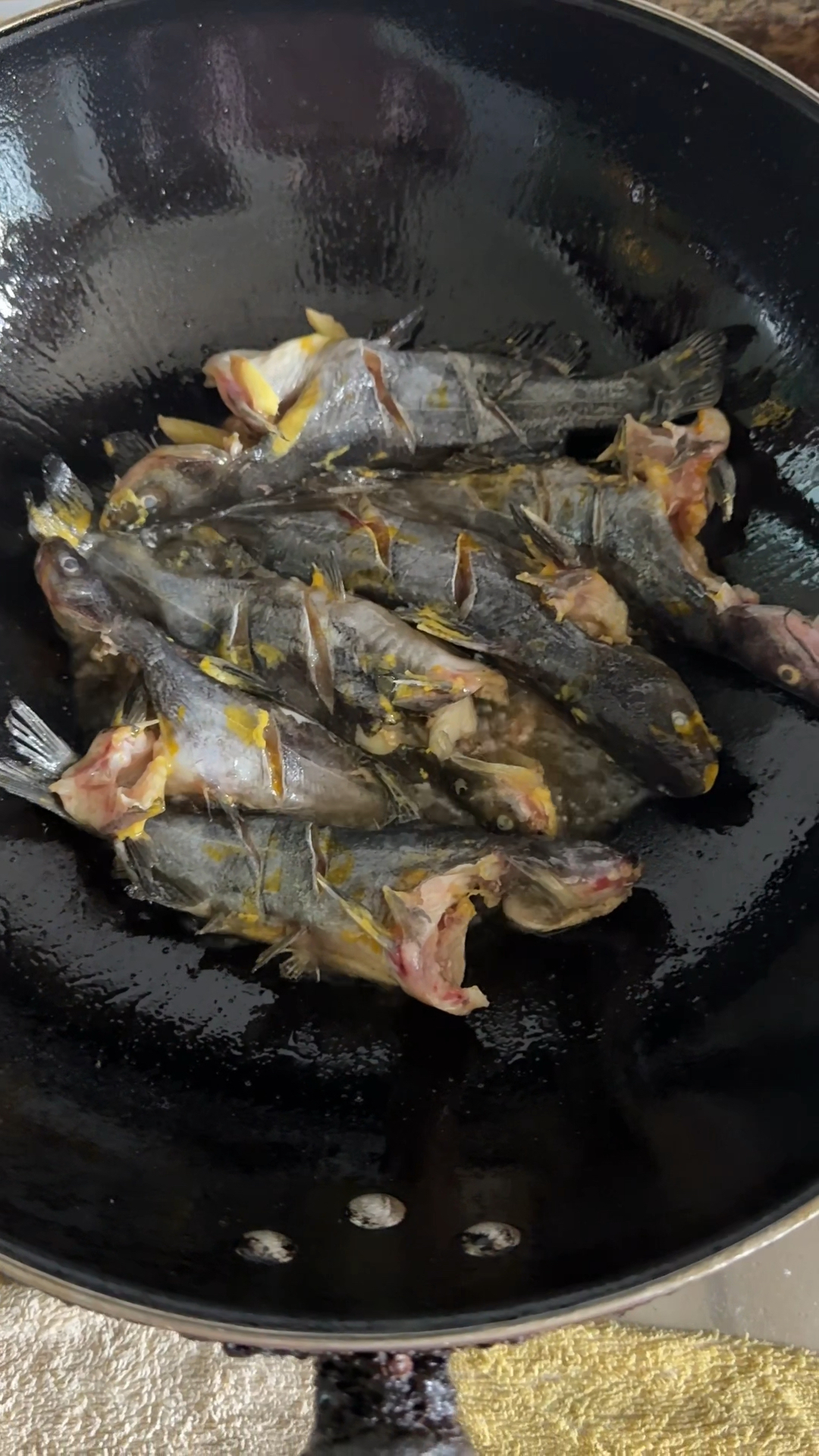 又鲜又嫩的黄丫头烧豆腐,大家有吃过吗