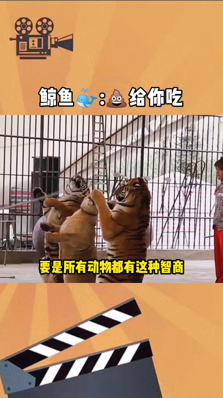 鲸鱼:我给你屎吃!
