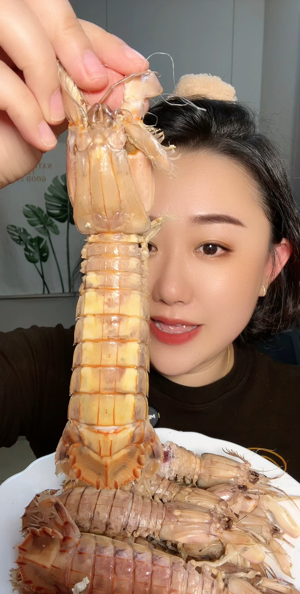 皮皮虾-大连虾爬子