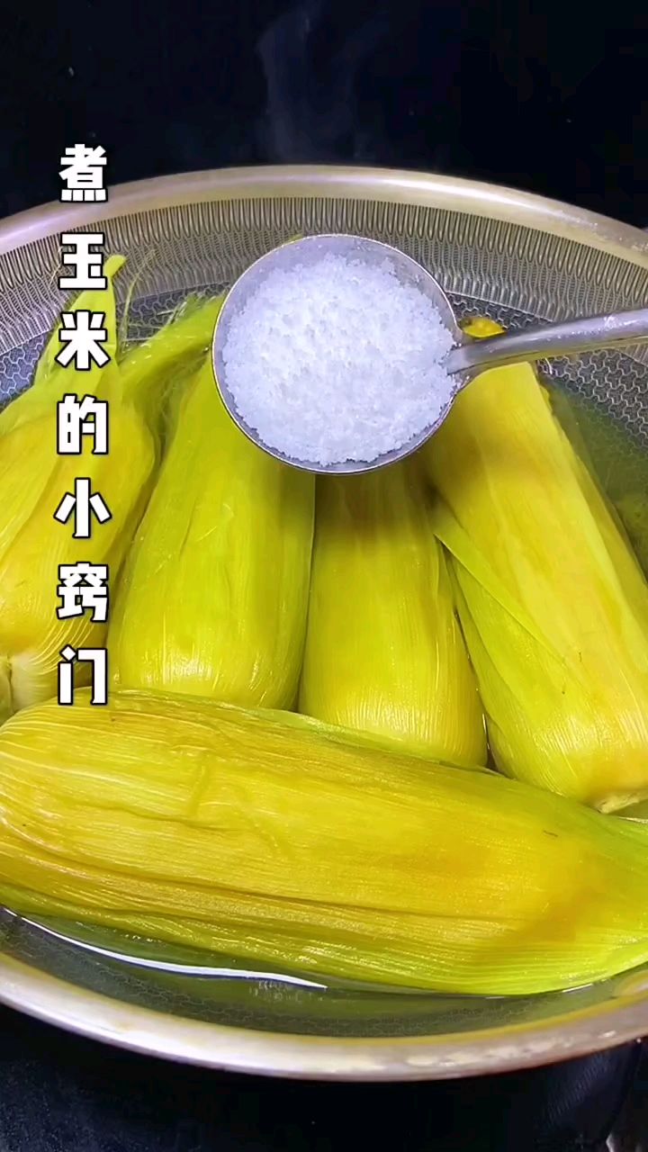 家常菜 第287集‖煮玉米的小窍门