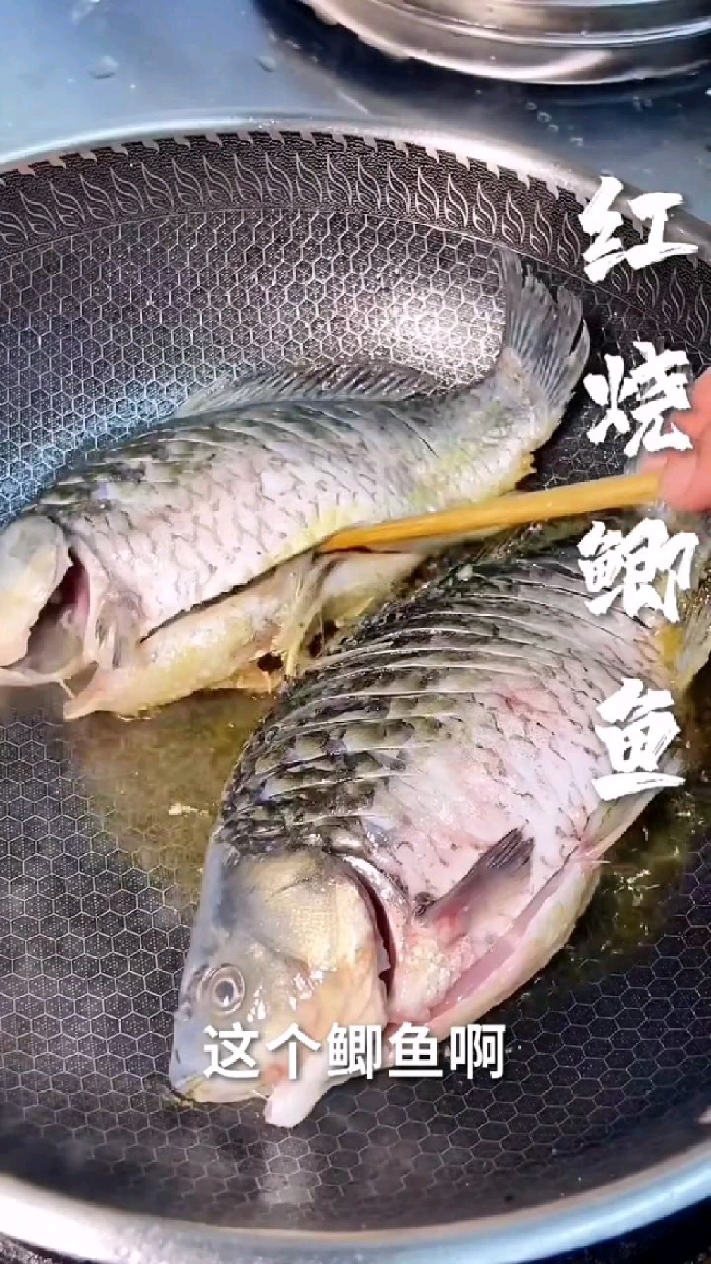 家常菜 第299集‖红烧鲫鱼