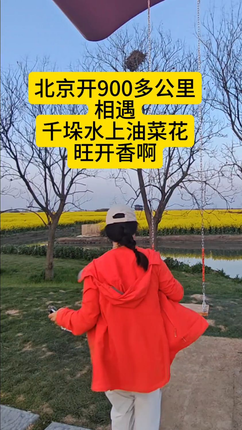 6号北京单人单车一天开九百高速见千垛水上油菜花不负辛苦。