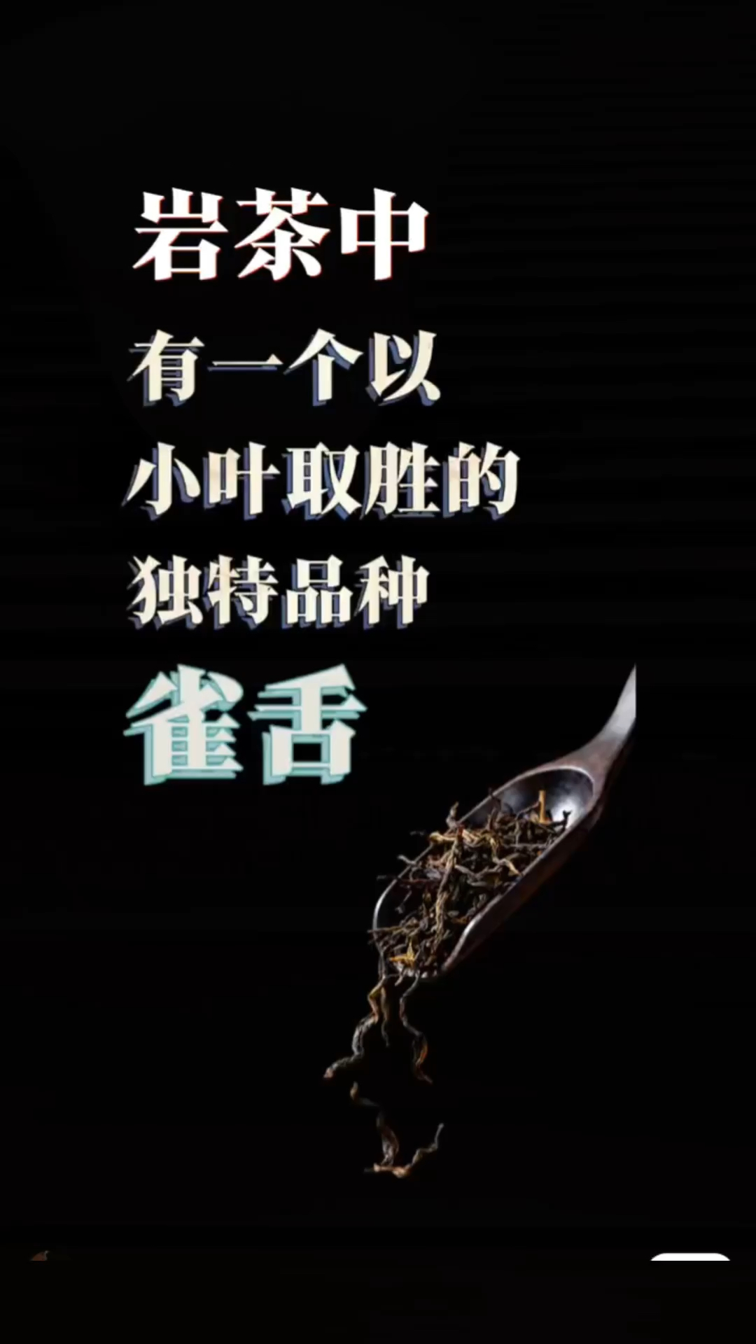 岩茶中唯一以小叶取胜的品种