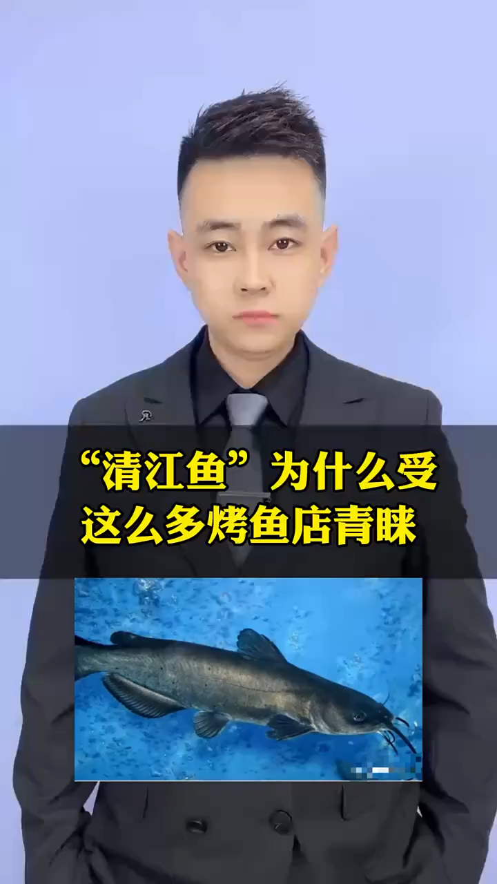 “清江鱼”为什么这么受烤鱼店青睐