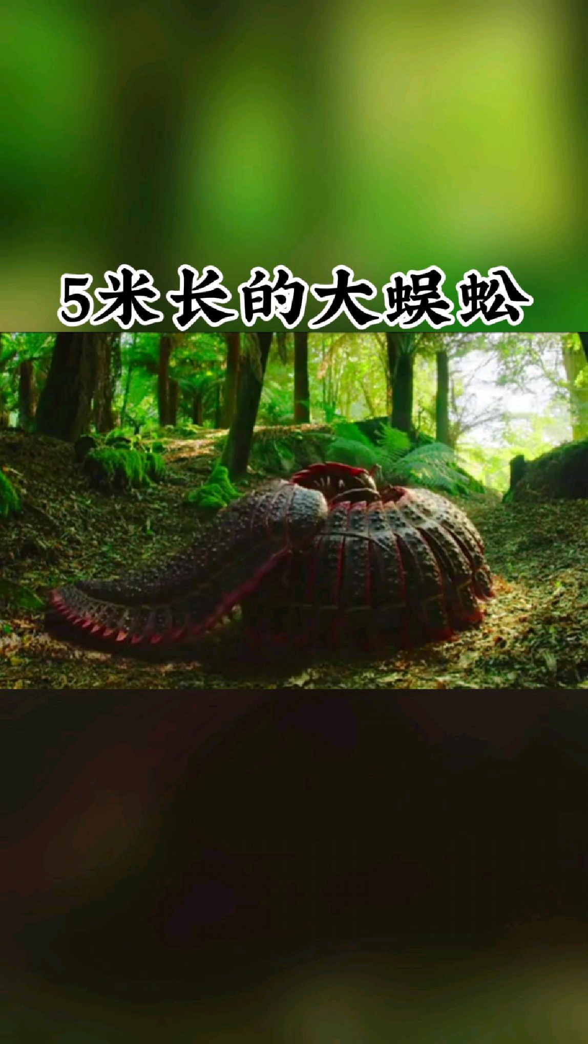 体长五米的大蜈蚣你见过吗
