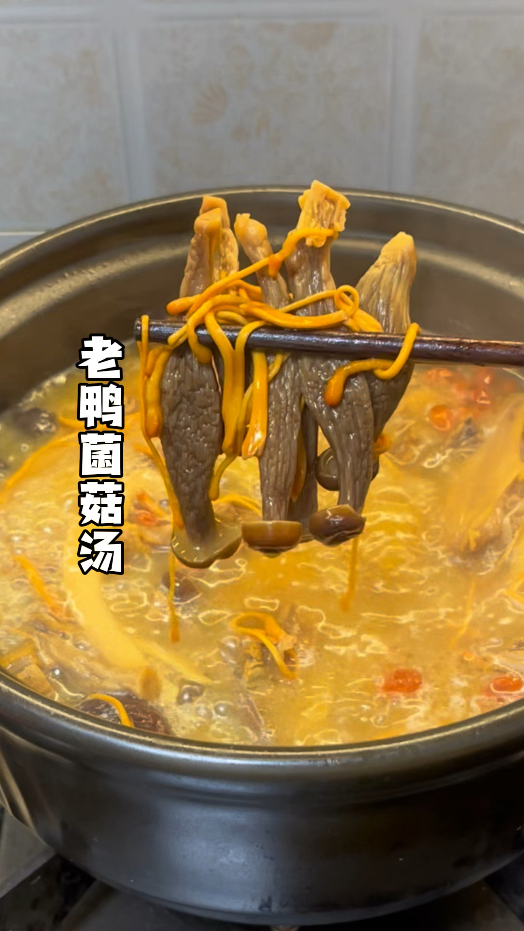 天气越来越寒凉,很适合给家人煲一碗营养丰富的老鸭菌菇汤