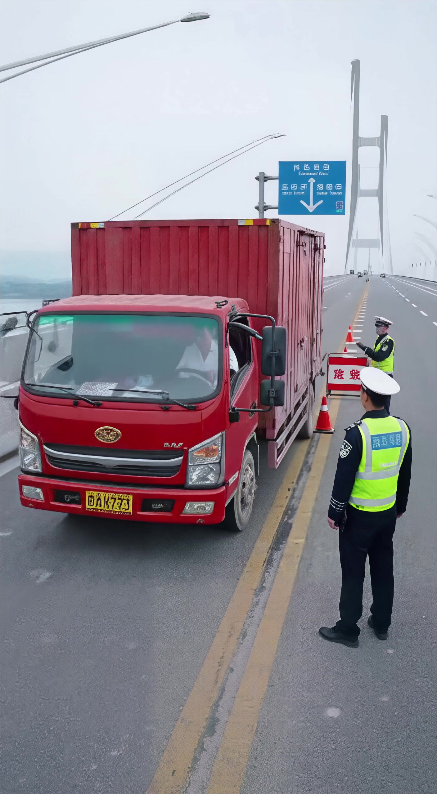 货车声称拉鸡苗打开竟是孔雀,交警紧急封路防“国宝”跳海